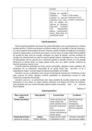 17
Epitelii glandulare
Țesutul epitelial glandular este format din celule diferențiate, care au proprietatea de a elabora
produși specifici. Celulele sunt dispuse оn diferite moduri și, оn asociație cu țesutul conjunctiv,
cu vasele sanguine și terminațiile nervoase, formeazг glande. Produșii secretați pot fi excretați la
exteriorul organismului, оn lumenul unor organe, sau trec direct оn sвnge. Dupг felul produșilor
de secreție și dupг locul de excreție, distingem trei tipuri de glande: exocrine, produsul de
secreție este eliminat printr-un canal la exterior (glande sebacee, sudoripare etc.) sau оn diferite
cavitгți (glande salivare, gastrice etc.); endocrine (glande cu secreție internг), ai cгror produși
(hormonii) se eliminг direct оn sвnge; glande mixte, care au o dublг secreție, endocrinг și
exocrinг (pancreas, testicul, ovar).
Celulele epiteliilor glandulare au forme variate: piramidale, cuboidale, оnalte, poliedrice. Оn
citoplasma lor au numeroase mitocondrii și un aparat Golgi bine dezvoltat, ca și o
ergastoplasmг bogatг, structuri legate de elaborarea produșilor de secreție.
Glandele exocrine se deosebesc оntre ele prin morfologia și structura lor. Clasificarea se face
dupг numгrul de celule, așezarea celulelor glandulare оn parenchimul secretor și dupг
ramificarea conductelor de excreție.
Glandele endocrine se caracterizeazг prin: lipsa canalelor de excreție, produsul de secreție
(hormonii) se varsг direct оn sвnge; celulele secretoare sunt dispuse sub formг de cordoane,
mase epiteliale sau mici vezicule (tiroida); rețeaua capilarг (sinusoide) оntrг оn structura
fiecгrei glande.
Tabela nr.2
Epitelii glandulare
Dupг numгrul de
celule
Tipul glandei Caracteristici Localizare
Glande unicelulare Celula secretorie este
situatг printre alte
celule epiteliale de tip
prismatic monostrati-
ficat.
Au forma de caliciu
(celule caliciforme) și
secretг mucus.
Epiteliul intestinal,
cгile biliare
extrahepatice,
epiteliile ciliate ale
arborelui respirator
etc.
Glande pluricelulare
(epiteliu de secreție,
Simple:
Glande tubuloase
Aspect de tub, celule-
le glandulare se aflг
Glandele Lieberkǜhn
din intestinul subțire
neciliat.
Epiteliu de tranziție
(uroteliu). Forma
celulelor și numгrul
straturilor sunt varia-
bile оn funcție de
goli-rea și distensia
orga-nelor. Uroteliul
este impermeabil
pentru constituenюii
urinei, fiind lipsit de
mem-branг bazalг.
Cгile urinare
(mucoasa vezicii
urinare, a ureterelor).
 