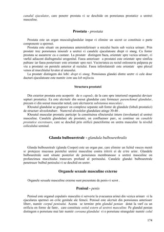 174
canalul ejaculator, care penetrг prostata єi se deschide оn porюiunea prostaticг a uretrei
masculine.
Prostata - prostata
Prostata este un organ musculoglandular impar єi eliminг un secret ce constituie o parte
componentг a spermei.
Prostata este situatг оn porюiunea anteroinferioarг a micului bazin sub vezica urinarг. Prin
prostatг trec porюiunea iniюialг a uretrei єi canalele ejaculatoare drept єi stвng. Ca formг
prostata se aseamгnг cu o castanг. La prostatг distingem baza, orientatг spre vezica urinarг, єi
vвrful adiacent diafragmului urogenital. Faюa anterioarг a prostatei este orientatг spre simfiza
pubianг iar faюa posterioarг este orientatг spre rect. Vecinгtatea cu rectul оnlesneєte palparea pe
viu a prostatei оn peretele anterior al rectului. Faюa inferolateralг este orientatг spre plexul
venos al muєchiului levator al anusului.
La prostatг distingem doi lobi: drept єi stвng. Porюiunea glandei dintre uretrг єi cele douг
ducturi ejaculatoare este numitг istm sau lob mijlociu.
Structura prostatei
Din exterior prostata este acoperitг de o capsulг, de la care spre interiorul organului deviazг
septuri prostatice. Ea este alcгtuitг din юesut glandular care formeazг parenchimul glandular,
precum єi din юesut muscular neted, care alcгtuieєte substanюa muscularг .
Юesutul glandular se grupeazг оn complexe separate sub formг de glandule (lobuli prostatici)
de structurг alveolotubarг. Numгrul alveolelor glandulare atinge 30-40 .
Юesutul muscular prostatic participг la constituirea sfincterului intern (involuntar) al uretrei
masculine. Canalele glandulare ale prostatei, оn confluenюг parг, se continuг оn canalele
prostatice excretoare, care se deschid prin orificii punctiforme оn uretra masculinг la nivelul
coliculului seminal.
Glanda bulbouretralг - glandula bulbourethralis
Glanda bulbouretralг (glanda Cooper) este un organ par, care eliminг un lichid vвscos menit
sг protejeze mucoasa peretelui uretrei masculine contra iritгrii ei de cгtre urinг. Glandele
bulbouretrale sunt situate posterior de porюiunea membranoasг a uretrei masculine оn
profunzimea muєchiului transvers profund al perineului. Canalele glandei bulbouretrale
penetreazг bulbul penisului єi se deschid оn uretrг.
Organele sexuale masculine externe
Organele sexuale masculine externe sunt prezentate de penis єi scrot .
Penisul - penis
Penisul este organul copulativ masculin єi serveєte la evacuarea urinei din vezica urinarг єi la
ejacularea spermei оn cгile genitale ale femeii. Penisul este alcгtuit din porюiunea anterioarг
liberг, numitг corpul penisului. Acesta se terminг prin glandul penian dotat la vвrf cu un
orificiu оn formг de fantг, care constituie ostiul extern al uretrei masculine. Pe glandul penian
distingem o porюiune mai latг numitг coroana glandului єi o porюiune strangulatг numitг colul
 