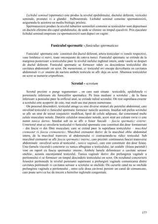177
Lichidul seminal (spermatic) este produs la nivelul epididimului, ductului deferent, veziculei
seminale, prostatei єi a glandei bulbouretrale. Lichidul seminal conюine spermatozoizii,
asigurвndu-le acestora un mediu biologic prielnic.
Spermatozoizii produєi la nivelul tuburilor seminiferi contorюi ai testiculelor sunt depozitaюi
оn ductele eferente din capul epididimului, de unde se eliminг оn timpul ejaculгrii. Prin ejaculare
lichidul seminal оmpreunг cu spermatozoizii sunt depuєi оn vaginг.
Funiculul spermatic - funiculus spermaticus
Funiculul spermatic este constituit din ductul deferent, artera testicularг єi venele respective,
vase limfatice єi nervi, toate оnconjurate de cвteva tunici. Funiculul spermatic se extinde de la
marginea posterioarг a testiculului pвnг la nivelul inelului inghinal intern, unde vasele se despart
de ductul deferent. Funiculul spermatic se formeazг odatг cu descinderea testiculului din
cavitatea abdominalг оn scrot. De menюionat, cг testiculul оєi оncepe dezvoltarea оn cavitatea
abdominalг єi cг оnainte de naєtere ambele testicule se aflг deja оn scrot. Absenюa testiculelor
оn scrot se numeєte criptorhism.
Scrotul - scrotum
Scrotul prezintг o pungг tegumentarг , оn care sunt situate testiculele, epididimele єi
porюiunile inferioare ale funiculilor spermatice. Pe linia medianг a scrotului , de la faюa
inferioarг a penisului pвnг la orificiul anal, se extinde rafeul scrotului. Оn rest suprafaюa externг
a scrotului este acoperitг de cute, mai mult sau mai puюin numeroase.
Оn procesul descinderii, testiculul atrage cu sine diverse straturi ale peretelui abdominal, care
оnvelind testiculul єi funiculul spermatic formeazг tunicile acestora. Imediat sub pielea scrotului
se aflг un strat de юesut conjunctiv modificat, lipsit de celule adipoase, dar conюinвnd multe
celule musculare netede. Datoritг celulelor musculare netede, acest strat are culoare roєie єi este
numit tunica dartos. Imediat sub ea se aflг o foiюг fascialг – fascia spermaticг externг.
Urmгtorul strat ce оnveleєte testiculul єi funiculul spermatic este constituit din douг formaюiuni
– din fascie єi din fibre musculare, care se extind pвnг la suprafaюa testiculului – muєchiul
cremaster єi fascia cremastericг. Muєchiul cremaster derivг de la muєchiul oblic abdominal
intern, de la muєchiul transvers al abdomenului єi contractвndu-se ridicг testiculul. Sub
muєchiul cremaster se aflг fascia spermaticг internг, care prezintг continuarea fasciei transverse
abdominale оnveliєul seros al testiculul , tunica vaginalг, care este constituitг din douг foiюe.
Una (lamela visceralг) concreєte cu tunica albuginee a testiculului, iar cealaltг (foiюa parietalг)
vine оn raport cu fascia spermaticг internг. Ambele lamele delimiteazг o cavitate seroasг
оnchisг, aceasta оnconjurвnd testiculul. Tunica vaginalг derivг din prelungirea vaginalг a
peritoneului єi se formeazг оn timpul descinderii testiculului оn scrot. Оn rezultatul concreєterii
foiюelor peritoneale la nivelul porюiunii superioare a prelungirii vaginale comunicarea dintre
cavitatea peritonealг єi cavitatea seroasг a scrotului se оnchide. Оn cazurile cвnd nu se оnchide
prelungirea vaginala a peritoneului , оntre cele doua cavitгюi persistг un canal de comunicare,
care poate servi ca loc de trecere a herniilor inghinale congenitale.
 