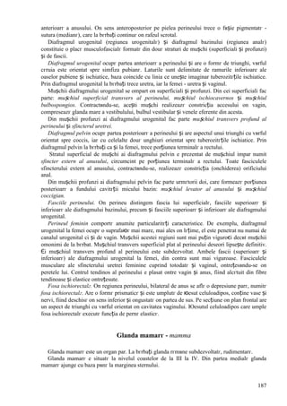 187
anterioarг a anusului. Оn sens anteroposterior pe pielea perineului trece o fвșie pigmentatг -
sutura (medianг), care la bгrbați continuг оn rafeul scrotal.
Diafragmul urogenital (regiunea urogenitalг) și diafragmul bazinului (regiunea analг)
constituie o placг musculofascialг formatг din douг straturi de mușchi (superficiali și profunzi)
și de fascii.
Diafragmul urogenital ocupг partea anterioarг a perineului și are o formг de triunghi, vвrful
cгruia este orientat spre simfiza pubianг. Laturile sunt delimitate de ramurile inferioare ale
oaselor pubiene și ischiatice, baza coincide cu linia ce unește imaginar tuberozitгțile ischiatice.
Prin diafragmul urogenital la bгrbați trece uretra, iar la femei - uretra și vaginul.
Mușchii diafragmului urogenital se оmpart оn superficiali și profunzi. Din cei superficiali fac
parte: mușchiul superficial transvers al perineului, mușchiul ischiocavernos și mușchiul
bulbospongios. Contractвndu-se, acești mușchi realizeazг constricția accesului оn vagin,
compreseazг glanda mare a vestibulului, bulbul vestibular și venele eferente din acesta.
Din mușchii profunzi ai diafragmului urogenital fac parte mușchiul transvers profund al
perineului și sfincterul uretrei.
Diafragmul pelvin ocupг partea posterioarг a perineului și are aspectul unui triunghi cu vвrful
orientat spre coccis, iar cu celelalte douг unghiuri orientat spre tuberozitгțile ischiatice. Prin
diafragmul pelvin la bгrbați ca și la femei, trece porțiunea terminalг a rectului.
Stratul superficial de mușchi ai diafragmului pelvin e prezentat de mușchiul impar numit
sfincter extern al anusului, circumcint pe porțiunea terminalг a rectului. Toate fasciculele
sfincterului extern al anusului, contractвndu-se, realizeazг constricția (оnchiderea) orificiului
anal.
Din mușchii profunzi ai diafragmului pelvin fac parte urmгtorii doi, care formeazг porțiunea
posterioarг a fundului cavitгții micului bazin: mușchiul levator al anusului și mușchiul
coccigian.
Fasciile perineului. Оn perineu distingem fascia lui superficialг, fasciile superioarг și
inferioarг ale diafragmului bazinului, precum și fasciile superioarг și inferioarг ale diafragmului
urogenital.
Perineul feminin comportг anumite particularitгți caracteristice. De exemplu, diafragmul
urogenital la femei ocupг o suprafaюг mai mare, mai ales оn lгțime, el este penetrat nu numai de
canalul urogenital ci și de vagin. Mușchii acestei regiuni sunt mai puțin viguroєi decвt mușchii
omonimi de la bгrbat. Mușchiul transvers superficial plat al perineului deseori lipsește definitiv.
Єi mușchiul transvers profund al perineului este subdezvoltat. Ambele fascii (superioarг și
inferioarг) ale diafragmului urogenital la femei, din contra sunt mai viguroase. Fasciculele
musculare ale sfincterului uretrei feminine cuprind totodatг și vaginul, оntrețesвndu-se оn
peretele lui. Centrul tendinos al perineului e plasat оntre vagin și anus, fiind alcгtuit din fibre
tendinoase și elastice оntrețesute.
Fosa ischiorectalг. Оn regiunea perineului, bilateral de anus se aflг o depresiune parг, numitг
fosa ischiorectalг. Are o formг prismaticг și este umplutг de юesut celuloadipos, conține vase și
nervi, fiind deschisг оn sens inferior și оngustatг оn partea de sus. Pe secțiune оn plan frontal are
un aspect de triunghi cu vвrful orientat оn cavitatea vaginului. Юesutul celuloadipos care umple
fosa ischiorectalг executг funcția de pernг elasticг.
Glanda mamarг - mamma
Glanda mamarг este un organ par. La bгrbați glanda rгmвne subdezvoltatг, rudimentarг.
Glanda mamarг e situatг la nivelul coastelor de la III la IV. Din partea medialг glanda
mamarг ajunge cu baza pвnг la marginea sternului.
 