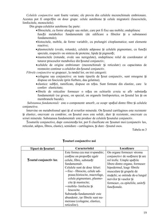 19
Celulele conjunctive sunt foarte variate; ele provin din celulele mezenchimale embrionare.
Acestea pot fi оmpгrțite оn douг grupe: celule autohtone și celule migratorii (leucocitele,
limfocitele, monocitele).
Din grupa celulelor autohtone fac parte:
fibrocitele, cu formг alungitг sau stelatг, care pot fi fixe sau mobile; оndeplinesc
funcții metabolice fundamentale (de edificare a fibrelor și a substanюei
fundamentale);
histocitele, mobile, de formг variabilг, cu prelungiri citoplasmatice; sunt elemente
reactive;
plasmocitele (ovale, rotunde), celulele adipoase și celulele pigmentare, cu funcții
speciale, respectiv оn sinteza de proteine, lipide și pigmenți;
mastocitele (rotunde, ovale sau neregulate), оndeplinesc rolul de coordonator al
tuturor proceselor metabolice din țesutul conjunctiv;
celulele de origine embrionarг (mezenchimalг și reticulatг) cu capacitatea de
reоnnoire continuг a celulelor din țesutul conjunctiv.
Fibrele conjunctive se grupeazг, la rвndul lor, оn trei categorii:
colagene sau conjunctive: оn toate tipurile de țesut conjunctiv, sunt omogene și
dispuse оn fascicule (prin fierbere, dau gelatina);
elastice: subțiri, ramificate, dispuse оn rețea. Sunt formate din elastinг, care le
conferг elasticitate;
fibrele de reticulinг formeazг o rețea оn ochiurile cгreia se aflг substanța
fundamentalг (se gгsesc, оn special, оn organele limfopoietice, оn țesutul lax și оn
membranele bazale).
Substanюa fundamentalг este o componentг amorfг, ce ocupг spațiul dintre fibre și celulele
conjunctive.
Intervine оn metabolismul apei și al sгrurilor minerale. Оn țesutul cartilaginos este rezistentг
și elasticг, оncгrcatг cu condrinг, оn țesutul osos este solidг, durг și rezistentг, оncгrcatг cu
sгruri minerale. Substanюa fundamentalг este produsг de celulele țesutului conjunctiv.
Țesuturile conjunctive, dupг consistența lor, pot fi clasificate оn: țesuturi moi (conjunctiv lax,
reticulat, adipos, fibros, elastic), semidure - cartilaginos, și dure - țesutul osos.
Tabela nr.3
Țesuturi conjunctive noi
Tipuri de țesuturi Caracteristici Localizare
Țesutul conjunctiv lax
Este forma cea mai rгspвnditг;
conține оn proporție egalг
celule, fibre, substanțг
fundamentalг.
Celulele sunt de douг feluri:
—fixe - fibrocite, celule adi-
poase,histiocite, macrofage,
celule pigmentare, plasmo-
cite și mastocite;
—mobile- limfocite și
leucocite.
Substanța fundamentalг este
abundentг, iar fibrele sunt nu-
meroase (colagene, elastice,
reticulinг).
Оn organe formeazг stroma
conjunctivг de susținere și are
rol trofic. Umple spațiile
libere dintre organe, formeazг
hipodermul, leagг fibrele
musculare și grupele de
mușchi; se оntinde de-a lungul
nervilor și vaselor și
formeazг, cu epiteliile, unitгți
funcționale.
 