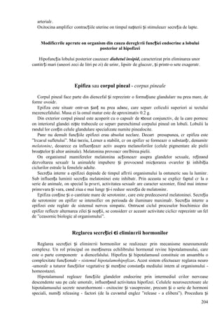 204
arterialг.
Oxitocina amplificг contracțiile uterine оn timpul nașterii și stimuleazг secreția de lapte.
Modificгrile apгrute оn organism din cauza dereglгrii funcției endocrine a lobului
posterior al hipofizei
Hipofuncția lobului posterior cauzeazг diabetul insipid, caracterizat prin eliminarea unor
cantitгți mari (uneori zeci de litri pe zi) de urinг, lipsitг de glucozг, și printr-o sete exageratг.
Epifiza sau corpul pineal - corpus pineale
Corpul pineal face parte din diencefal și reprezintг o formațiune glandularг nu prea mare, de
formг ovoidг.
Epifiza este situatг оntr-un șanț nu prea adвnc, care separг coliculii superiori ai tectului
mezencefalului. Masa ei la omul matur este de aproximativ 0.2 g.
Din exterior corpul pineal este acoperit cu o capsulг de юesut conjunctiv, de la care pornesc
оn interiorul glandei niște trabecule ce separг parenchimul corpului pineal оn lobuli. Lobulii la
rвndul lor conțin celule glandulare specializate numite pinealocite.
Pвnг nu demult funcțiile epifizei erau absolut neclare. Decart presupunea, cг epifiza este
”lгcaєul sufletului”. Mai tвrziu, Lerner a stabilit, cг оn epifizг se formeazг o substanțг, denumitг
melatoninг, deoarece ea influențeazг activ asupra melanoforilor (celule pigmentare ale pielii
broaștelor și altor animale). Melatonina provoacг оnгlbirea pielii.
Оn organismul mamiferelor melatonina acționeazг asupra glandelor sexuale, reținвnd
dezvoltarea sexualг la animalele impubere și provocвnd micșorarea ovarelor și inhibiția
ciclurilor estrale la femelele adulte.
Secreția internг a epifizei depinde de timpul aflгrii organismului la оntuneric sau la luminг.
Sub influența luminii secreția melatoninei este inhibatг. Prin aceasta se explicг faptul cг la o
serie de animale, оn special la pгsгri, activitatea sexualг are caracter sezonier, fiind mai intensг
primгvara și vara, cвnd ziua e mai lungг și-i redusг secreția de melatoninг.
Epifiza conține și o cantitate mare de serotoninг, care este predecesorul melatoninei. Secreția
de serotoninг оn epifizг se intensificг оn perioada de iluminare maximalг. Secreția internг a
epifizei este reglatг de sistemul nervos simpatic. Оntrucвt ciclul proceselor biochimice din
epifizг reflectг alternarea zilei și nopții, se considerг cг aceastг activitate ciclicг reprezintг un fel
de ”ceasornic biologic al organismului”.
Reglarea secreției єi eliminгrii hormonilor
Reglarea secreției și eliminгrii hormonilor se realizeazг prin mecanisme neuroumorale
complexe. Un rol principal оn menținerea echilibrului hormonal revine hipotalamusului, care
este o parte componentг a diencefalului. Hipofiza și hipotalamusul constituie оn ansamblu o
complexitate funcționalг - sistemul hipotalamohipofizar. Acest sistem efectueazг reglarea neuro
-umoralг a tuturor funcțiilor vegetative și menține constanța mediului intern al organismului -
homeostazei.
Hipotalamusul regleazг funcțiile glandelor endocrine prin intermediul cгilor nervoase
descendente sau pe cale umoralг, influențвnd activitatea hipofizei. Celulele neurosecretoare ale
hipotalamusului secretг neurohormoni - oxitocinг și vasopresinг, precum și o serie de hormoni
speciali, numiți releasing - factori (de la cuvвntul englez ”release - a elibera”). Procedura și
 