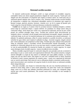213
Sistemul cardiovascular
În sistemul cardiovascular distingem cordul ca organ principal al circulației sangvine,
contracțiile ritmice ale căruia asigură propulsarea sângelui și vasele sangvine. Vasele prin care
sângele iese din cord pentru a fi propulsat spre organe se numesc artere, iar vasele prin care se
realizează aportul sângelui spre cord se numesc vene. Sistemul cardiovascular execută funcțiile
de transportare a sângelui care vehiculează substanțele nutritive și stimulente spre organe și
țesuturi (oxigen, glucoză, proteine, hormoni, vitamine etc.), iar de la organe și țesuturi prin
vasele sangvine (vene) și limfatice realizează drenarea reziduurilor metabolice.
Cordul este un organ cu 4 camere situat în cavitatea toracică. Jumătatea dreaptă a cordului
(atriul drept și ventriculul drept) e separat definitiv de jumătatea lui stângă (atriul stâng și
ventriculul stâng). Atriul drept prin venele cave superioară și inferioară, precum și prin venele
proprii ale cordului primește sânge venos. Trecând prin orificiul drept atrioventricular pe
marginile cărora e racordată valvula dreaptă atrioventriculară (tricuspidă), sângele nimerește în
ventriculul drept, iar de aici în trunchiul pulmonar și în continuare prin arterele pulmonare - în
plămâni. În capilarele pulmonare, aflate în contact nemijlocit cu pereții alveolelor, se realizează
schimbul de gaze dintre aerul inspirat în plămâni și sânge. Asociind oxigenul, sângele arterial
prin venele pulmonare este propulsat în atriul stâng. Trecând apoi prin orificiul atrioventricular
stâng pe marginile căruia e racordată valvula atrioventriculară mitrală (bicuspidă), el este
propulsat în ventriculul stâng și de aici în cea mai mare arteră a corpului numită aortă. Ținându-
se cont de particularitățile de structură și funcție ale cordului, și vaselor sangvine, în corpul
uman distingem două circulații sangvine - marea circulație și mica circulație.
Marea circulație sangvină începe în ventriculul stâng din care pornește aorta și se termină în
atriul drept, în care se varsă venele cavă superioară și inferioară. Prin aortă și ramurile ei sângele
arterial îmbogățit cu oxigen și alte materii se îndreaptă spre toate părțile corpului. La fiecare
organ vine una sau câteva artere. Din organe ies vene care, confluând unele cu altele, formează
în definitivă vasele venoase magistrale ale corpului uman - venele cave superioară și inferioară
care se varsă în atriul drept. Între artere și vene se află partea distală a sistemului cardiovascular -
patul microcirculator care constituie căi sangvine locale la nivelul cărora se realizează corelația
dintre sânge și țesuturi.
Din mica circulație, care începe în ventriculul drept, din care iese trunchiul pulmonar și se
termină în atriul stâng, unde se varsă venele pulmonare, fac parte doar vasele care transportă
sânge venos de la inimă spre plămâni (trunchiul pulmonar) și vasele care transportă sânge
arterial spre cord (venele pulmonare). Din această cauză mica circulație se mai numește și
pulmonară.
 