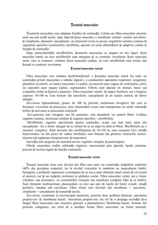 22
Țesutul muscular
Țesuturile musculare sunt adaptate funcției de contracție. Celula sau fibra muscularг prezintг
unul sau mai mulți nuclei, dupг tipul de țesut muscular, o membranг celularг, numitг sarcolemг,
și citoplasmг, denumitг sarcoplasmг, оn interiorul cгreia se gгsesc organitele celulare comune și
organitele specifice (contractile), miofibrile, apгrute оn urma diferențierii și adaptгrii celulei la
funcția de contracție.
Dupг particularitгțile miofibrilelor, țesuturile musculare se оmpart оn trei tipuri: țesut
muscular neted, оn care miofibrilele sunt omogene și se contractг involuntar; țesut muscular
striat, care se contractг voluntar; țesut muscular cardiac, оn care miofibrilele sunt striate, dar
țesutul se contractг involuntar.
Țesutul muscular neted
Fibra muscularг este unitatea morfofuncționalг a țesutului muscular neted. Ea оntrг оn
constituția pгturii musculare a tubului digestiv, a conductelor aparatului respirator, urogenital,
glandelor excretorii, оn tunica muscularг a vaselor, оn anexele unor organe de simț (piele, ochi),
оn capsulele unor organe (splinг, suprarenalг). Fibrele sunt așezate оn straturi, benzi sau
rгspвndite izolat оn țesutul conjunctiv. Fibra muscularг netedг, de aspect fusiform, are o lungime
cuprinsг 10-100 м. Este formatг din sarcolemг, sarcoplasmг și un nucleu central, de formг
alungitг.
Sarcolema (plasmalema), groasг de 100 м, prezintг numeroase invaginгri din care se
formeazг veziculele de pinocitozг, prin intermediul cгrora sunt transportate оn celulг substanțe
trofice și activatori ai procesului contractil.
Sarcoplasma este omogenг sau fin granulatг, mai abundentг оn centrul fibrei. Conține
organite comune, incluziuni celulare și organite specifice - miofibrilele.
Miofibrilele, organite specializate pentru contracție, ocupг cea mai mare parte din
sarcoplasmг. Au o formг alungitг și se оntind de la un capгt la altul al fibrei. Miofibrilele au o
structurг complexг, fiind alcгtuite din miofilamente de 10-150 м, sunt omogene (fгrг striații
transversale), iar din punct de vedere biochimic sunt formate din proteine contractile (actinг,
miozinг) și reglatoare (tropomiozinг și troponinг).
Inervația este asiguratг de sistemul nervos vegetativ simpatic și parasimpatic.
Fibrele musculare conțin substanțe organice, reprezentate prin glucide, lipide, proteine,
precum și enzime legate de funcția contractilг.
Țesutul muscular striat
Țesutul muscular striat este alcгtuit din fibre care оntrг оn constituția mușchilor scheletici
(40% din greutatea corpului), iar la nivelul viscerelor le оntвlnim оn musculatura limbii,
faringelui, a porțiunii superioare a esofagului și оn cea a unor sfinctere (anal extern și cel extern
al uretrei), cвt și оn mușchii extrinseci ai globului ocular. Fibra muscularг striatг are o formг
cilindricг sau prismaticг, cu extremitгțile rotunjite sau ramificate (mușchii feței și ai limbii).
Sunt elemente multinucleate, plasmoidale, cu zeci sau sute de nuclei de formг ovoidг, situați
periferic, imediat sub sarcolemг. Fibra striatг este alcгtuitг din membranг = sarcolemг,
citoplasmг = sarcoplasmг și numeroși nuclei.
Sarcolema, examinatг la microscopul electronic, prezintг douг porțiuni distincte: sarcolema
propriu-zisг și membrana bazalг. Sarcolema propriu-zisг are rol de a propaga excitația de-a
lungul fibrei musculare (are structura generalг a plasmalemei). Membrana bazalг, formatг din
proteine colagenice, are rolul de a menține forma fibrei musculare оn limite normale.
 