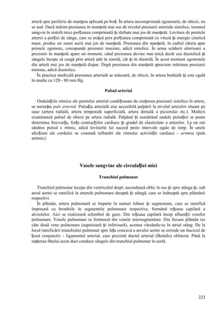 223
arteră spre periferie de manșeta aplicată pe braț. În artera necomprimată zgomotele, de obicei, nu
se aud. Dacă mărim presiunea în manșetă mai sus de nivelul presiunii arteriale sistolice, torentul
sangvin în sistolă trece porțiunea comprimată și răzbate mai jos de manșetă. Lovitura de peretele
arterei a porției de sânge, care se mișcă prin porțiunea comprimată cu viteză și energie cinetică
mare, produc un sunet auzit mai jos de manșetă. Presiunea din manșetă, în cadrul căreia apar
primele zgomote, corespunde presiunii maxime, adică sistolice. În urma scăderii ulterioare a
presiunii în manșetă apare un moment, când presiunea devine mai mică decât cea diastolică și
sângele începe să curgă prin arteră atât în sistolă, cât și în diastolă. În acest moment zgomotele
din arteră mai jos de manșetă dispar. După presiunea din manșetă apreciem mărimea presiunii
minime, adică diastolice.
În practica medicală presiunea arterială se măsoară, de obicei, în artera brahială și este egală
în medie cu 120 - 80 mm Hg.
Pulsul arterial
Ondulațiile ritmice ale peretelui arterial condiționate de creșterea presiunii sistolice în artere,
se numește puls arterial. Pulsația arterială este accesibilă palpării la nivelul arterelor situate pe
oase (artera radială, artera temporală superficială, artera dorsală a piciorului etc.). Medicii
examinează pulsul de obicei pe artera radială. Palpând și numărând undele pulsației se poate
determina frecvența, forța contracțiilor cardiace și gradul de elasticitate a arterelor. La un om
sănătos pulsul e ritmic, adică loviturile lui succed peste intervale egale de timp. În unele
afecțiuni ale cordului se constată tulburări ale ritmului activității cardiace - aritmia (puls
aritmic).
Vasele sangvine ale circulației mici
Trunchiul pulmonar
Trunchiul pulmonar începe din ventriculul drept, ascendează oblic în sus și spre stânga și, sub
arcul aortei se ramifică în arterele pulmonare dreaptă și stângă, care se îndreaptă spre plămânii
respectivi.
În plămân, artera pulmonară se împarte în ramuri lobare și segmentare, care se ramifică
împreună cu bronhiile în segmentele pulmonare respective, formând rețeaua capilară a
alveolelor. Aici se realizează schimbul de gaze. Din rețeaua capilară încep afluenții venelor
pulmonare. Venele pulmonare se formează din venele intersegmentare. Din fiecare plămân ies
câte două vene pulmonare (superioară și inferioară), acestea vărsându-se în atriul stâng. De la
locul ramificării trunchiului pulmonar spre fața concavă a arcului aortei se extinde un fascicul de
țesut conjunctiv - ligamentul arterial, care prezintă ductul arterial (Botallo) obliterat. Până la
nașterea fătului acest duct conduce sângele din trunchiul pulmonar în aortă.
 