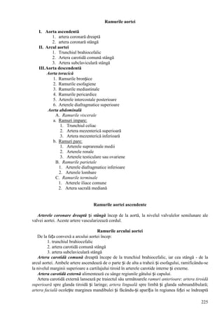 225
Ramurile aortei
I. Aorta ascendentă
1. artera coronară dreaptă
2. artera coronară stângă
II. Arcul aortei
1. Trunchiul brahiocefalic
2. Artera carotidă comună stângă
3. Artera subclaviculară stângă
III.Aorta descendentă
Aorta toracică
1. Ramurile bronșice
2. Ramurile esofagiene
3. Ramurile mediastinale
4. Ramurile pericardice
5. Arterele intercostale posterioare
6. Arterele diafragmatice superioare
Aorta abdominală
A. Ramurile viscerale
a. Ramuri impare:
1. Trunchiul celiac
2. Artera mezenterică superioară
3. Artera mezenterică inferioară
b. Ramuri pare:
1. Arterele suprarenale medii
2. Arterele renale
3. Arterele testiculare sau ovariene
B. Ramurile parietale
1. Arterele diafragmatice inferioare
2. Arterele lombare
C. Ramurile terminale
1. Arterele iliace comune
2. Artera sacrală mediană
Ramurile aortei ascendente
Arterele coronare dreaptă și stângă încep de la aortă, la nivelul valvulelor semilunare ale
valvei aortei. Aceste artere vascularizează cordul.
Ramurile arcului aortei
De la fața convexă a arcului aortei încep:
1. trunchiul brahiocefalic
2. artera carotidă comună stângă
3. artera subclaviculară stângă
Artera carotidă comună dreaptă începe de la trunchiul brahiocefalic, iar cea stângă - de la
arcul aortei. Ambele artere ascendează de o parte și de alta a traheii și esofagului, ramificându-se
la nivelul marginii superioare a cartilajului tiroid în arterele carotide interne și externe.
Artera carotidă externă alimentează cu sânge regiunile gâtului și capului.
Artera carotidă externă lansează pe traiectul său următoarele ramuri anterioare: artera tiroidă
superioară spre glanda tiroidă și laringe; artera linguală spre limbă și glanda submandibulară;
artera facială ocolește marginea mandibulei și făcându-și apariția în regiunea feței se îndreaptă
 