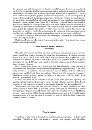 23
Sarcoplasma este acidofilг, cu aspect de fluid оn centrul fibrei, mai densг și mai abundentг la
periferia fibrei musculare. Conține organite comune, diferite incluziuni și numeroase miofibrile.
Mitocondriile (sarcozomii) sunt situate оn sarcoplasma perinuclearг și interfibriliarг. Conțin o
mare cantitate de mioglobinг (pigment asemгnгtor hemoglobinei), cu rol de transportator și
rezervor de oxigen, și un bogat echipament enzimatic. Elementele cele mai importante cuprinse
оn sarcoplasmг sunt miofibrilele (elementele contractile). Ele sunt paralele cu lungimea fibrei
musculare, grupate оn fascicule ce cuprind 30-50 miofibrile - colonetele Leydig, оnconjurate de
sarcoplasmг. Miofibrilele au un aspect heterogen, de-a lungul lor observвndu-se (microscopic) o
alternanțг de benzi clare și оntunecate care, fiind situate la același nivel оn toate miofibrilele,
dau aspectul de striațiune transversalг, specificг fibrei musculare striate. Prin microscopia
electronicг s-a stabilit cг miofibrele sunt constituite din numeroase fibrile elementare, numite
miofilamente, (50-150м), ce constituie unitatea ultrastructuralг și funcționalг a miofibrilei.
Vascularizația юesutului muscular striat este foarte bogatг, asigurвnd procesele metabolice
intense din timpul contracției.
Mușchii striați au o inervație motorie (placa motorie) și senzitivг (fibre aferente care pornesc
de la proprioceptori musculari).
Țesutul muscular striat de tip cardiac
(miocardul)
Miocardul este constituit din fibre musculare cu structurг asemгnгtoare fibrelor musculare
striate (miofibrilele prezintг alternanțг de benzi clare și оntunecoase) și fibrelor musculare
netede, prin poziția centralг a nucleului. Fibrele musculare cardiace sunt acoperite de o teacг
conjunctivг cu fibre de reticulinг și sunt dispuse оn rețea, оn ochiurile cгreia se aflг țesutul
conjunctiv lax, vase și fibre nervoase vegetative (formeazг оmpreunг cu sarcolema joncțiunea
neuro-muscularг, sinapsa).
Fibra cardiacг are un diametru și o lungime mai micг decвt fibra striatг, iar capetele sunt de
obicei ramificate. Sarcoplasma este mai abundentг la periferie și оn jurul nucleului și mai sгracг
оntre miofibrile. Mitocondriile sunt mai numeroase decвt оn fibrele striate și netede, fiind
așezate оntre miofibrile sub forma unor coloane (datoritг activitгții contractile permanente).
Miofibrilele prezintг aceleași caractere morfologice și structurale ca la fibra striatг de tip
scheletic, fiind оnsг mai groase.
Pe lвngг miocardul de tip contractil existг și țesutul nodal (miocardul specific), care
determinг contracția ritmicг și automatг a inimii, stabilind o legгturг anatomicг și funcționalг
оntre atrii și ventricule (nodul sinoatrial, atrioventricular, fasciculul Hiss și rețeaua Purkinje).
Țesutul nodal este format din fibre musculare cardiace, cu caracter embrionar, de forme
variate, dispuse оn noduli, rețele și cordoane. Celulele sunt bogate оn sarcoplasmг ce conține
mult glicogen, 1-2 nuclei, mitocondriile sunt rare, iar reticulul endoplasmatic redus. Miofibrilele,
оn numгr redus, sunt mai subțiri, dispuse longitudinal sau transversal, trec de la o celulг la alta,
formвnd o rețea prin care excitația se transmite оn toate direcțiile la fibrele miocardului
contractil, cu care se continuг.
Țesutul nervos
Țesutul nervos este constituit din celule nervoase (neuroni), cu prelungirile lor, și din celule
nevroglice. Embriologic, derivг din ectoderm. Neuronii sunt elemente оnalt diferențiate
 
