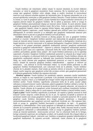 235
Vasele limfatice ale intestinului subţire situate în mezoul intestinal, la nivelul rădăcinii
mezoului, se varsă în ganglionii mezenterici foarte numeroşi. De la intestinul gros, limfa se
scurge spre ganglionii limfatici colici (drepţi, stângi şi medii), localizaţi în mezocolonul
transvers şi pe traiectul celorlalte porţiuni ale intestinului gros. În regiunea intestinului cec şi în
mezoul apendicelui vermicular se află ganglionii limfatici ileocolici. Vasele limfatice eferente de
la stomac se varsă în ganglionii pilorici, aceştia formând de-a lungul curburilor stomacului şi în
regiunea pilorică lanţuri de ganglioni limfatici. De la splină şi pancreas, limfa se scurge în
ganglionii limfatici pancreatolienali dispuşi pe traiectul arterei lienale. În jurul arterelor renale
sunt situate grupurile de ganglioni limfatici renali. De la ficat, limfa se scurge în diferite direcţii
– spre ganglionii hepatici situaţi în regiunea hilului hepatic, spre ganglionii celiaci, iar de la
segmentele hepatice superioare, vasele limfatice pătrund prin orificiul venei cave inferioare a
diafragmului în cavitatea toracelui şi se îndreaptă spre ganglionii mediastinali anteriori prin
intermediul cărora se pot uni cu ganglioni limfatici cervicali profunzi.
Cavitatea toracică. În cavitatea toracică se disting grupuri de vase şi ganglioni limfatici
parietali şi viscerali. Ganglionii limfatici parietali sunt reprezentaţi de ganglionii parasternali,
situaţi pe traiectul arterei toracice interne, ganglioni intercostali şi diafragmatici, localizaţi de-a
lungul arterelor şi nervilor intercostali şi în regiunea diafragmului. Ganglionii limfatici viscerali
se împart în trei grupuri principale: ganglionii mediastinali anteriori, ganglionii mediastinali
posteriori şi ganglionii traheobronhiali – superiori şi inferiori. Ganglionii mediastinali anteriori,
localizaţi în jurul venei cave superioare, colectează limfa din vasele aferente ale diafragmului
cordului, pericardului, glandei timus, parţial - din vasele limfatice pulmonare şi de la suprafaţa
superioară a ficatului. Ganglionii limfatici mediastinali posteriori se situează de-a lungul aortei
toracice şi esofagului, şi colectează limfa de la organele adiacente. Vasele limfatice eferente ale
ganglionilor mediastinali anteriori se îndreaptă spre trunchiurile bronhomediastinale drept şi
stâng, iar vasele eferente prin ganglionii mediastinali posteriori se varsă în ductul limfatic
toracic. Grupul de numeroşi ganglioni limfatici traheobronhiali – superiori şi inferiori (ai
bifurcaţiei) – este dislocat la nivelul bifurcaţiei traheii. La nivelul hilului pulmonar se află
ganglionii limfatici bronhopulmonali, care colectează limfa de la plămâni. Vasele limfatice
eferente de la glandele mamare, fiind situate pe peretele inferior al toracelui se îndreaptă de-a
lungul vaselor sangvine spre ganglionii axilari din cavitatea axilară, spre ganglionii parasternali
şi în direcţia ganglionilor limfatici din regiunea claviculei.
Membrul superior. Vasele limfatice ale membrului superior, asemenea vaselor membrului
inferior, se împart în vase superficiale şi profunde. Cele profunde colectează limfa de la oase,
articulaţii, muşchi şi fascii, şi se îndreaptă de-a lungul vaselor sangvine profunde spre ganglionii
limfatici axilari. Vasele limfatice superficiale colectează limfa de la piele, ţesutul adipos
subcutan şi urmează traiectul vaselor subcutane, până la ganglionii limfatici cubitali şi axilari. În
ganglionii limfatici axilari se varsă de asemenea limfa de la regiunile adiacente ale toracelui şi
spatelui. Vasele eferente de la ganglionii axilari formează prin confluare trunchiurile limfatice
subclaviculare - drept şi stâng care se varsă respectiv în ductul limfatic şi ductul limfatic toracic.
Capul şi gâtul. Vasele limfatice superficiale şi profunde ale capului şi gâtului urmează în fond
traiectul vaselor sangvine, având direcţia de sus în jos. În regiunea occipitală şi posterior de
pavilionul urechii sunt situaţi ganglionii limfatici occipitali şi auriculari posteriori. De la aceşti
ganglioni vasele limfatice descendează de-a lungul marginii posterioare a muşchiului
sternocleidomastoidian spre ganglionii cervicali superficiali localizaţi aici. Din regiunea feţei,
limfa se scurge în ganglionii limfatici buccinatori şi parotidieni, iar apoi – în ganglionii
submentali şi submandibulari. Către aceşti ganglioni se îndreaptă de asemenea vasele limfatice
eferente de la ţesuturile profunde ale feţei, de la gingii, dinţi, limbă, mucoasa bucală şi nazală.
Din ganglionii submentali şi submandibulari, limfa se scurge în ganglionii limfatici profunzi
situaţi pe traiectul pachetului neurovascular cervical. Aici se colectează limfa de la faringe,
laringe, porţiunile superioare ale esofagului şi traheii, de la glanda tiroidă. De-a lungul traheii se
localizează ganglionii traheali , uniţi prin vase limfatice cu ganglionii grupului traheobronhial şi
ganglionii mediastinali. În regiunea cervicală inferioară, vasele eferente de la ganglionii
 