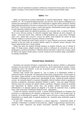 236
limfatici cervicali superficiali şi profunzi confluează şi formează de fiecare parte câte un trunchi
jugular: cel stâng se varsă în ductil limfatic toracic, iar cel drept în ductul limfatic drept.
Splina - lien
Splina se localizează în cavitatea abdominală, în regiunea hipocondriacă stângă, la nivelul
coastelor IX – XI. La splină distingem două feţe: una convexă, vine în raport cu diafragmul şi se
numeşte faţa diafragmatică, iar cealaltă vine în adiacenţă cu organele interne (stomacul, rinichiul
stâng,coada pancreasului) şi de aceea se numeşte faţă viscerală. Faţa viscerală a splinei comportă
hilul lienal – locul de intrare şi ieşire a vaselor sale sangvine. Dimensiunile acestui organ depind
în mare măsură de cantitatea de sânge ce se conţine în el.
Din toate părţile splina este tapetată de peritoneu, care concreşte intim cu tunica ei fibroasă.
De la tunica fibroasa pornesc în interiorul organului nişte trabecule de ţesut conjunctiv ale
splinei – trabeculele lienale. Între trabecule se află parenchimul sau pulpa splinei. Distingem
pulpa roşie, situată între sinusurile venoase ale splinei, fiind alcătuită din ochiuri de ţesut
reticular, umplute cu eritrocite, leucocite, limfocite şi macrofagi.
Pulpa albă, formată din noduli limfoizi splenici şi vagine limfoide periarteriale, alcătuite din
limfocite şi din alte celule ale ţesutului limfoid, captive în ochiurile stromei reticulare. Prin
fiecare nodul limfoid trece o arteră centrală.
Splina face parte din organele limfoide deoarece ea produce limfocite care se elimină în
sânge. Pe lângă aceasta, sângele trecând prin splină se eliberează de eritrocitele pe cale de
dezagregare (,,cimitirul eritrocitelor”). Datorită structurii deosebite a patului său vascular, splina
de rând cu alte organe ( ficatul, pielea ) exercită funcţia de rezervor pentru sânge, acumulându-l
în cantităţi considerabile.
Sistemul imun. Imunitatea.
Imunitatea este protecţia biologică a organismului faţă de acţiunea celulelor şi substanţelor
eterogene care pot nimeri în organism din exterior sau pot fi reprezentate de microbi, virusuri,
componente nocive din alimente şi din aer, de ţesuturi moarte şi celule modificate (celule
mutante, celule canceroase) etc.
Sistemul imun include toate organele în care se produc şi se diferenţiază celulele ce
realizează reacţiile de protecţie ale organismului (leucocitele şi plasmocitele). Aceste organe au
fost numite organe limfoide şi sunt constituite din ţesut limfoid. Măduva osoasă roşie (organ al
imunităţii şi hematopoiezei), glanda timus, aglomeraţiile de ţesut limfoid din pereţii organelor
cavitare ale sistemelor digestiv şi respirator (amigdalele, foliculii limfatici solitari şi agregaţi din
intestine şi apendicele vermicular), ganglionii limfatici şi splina – toate sunt organe limfoide.
Sistemul imun este constituit din organe centrale şi periferice. Organele centrale ale imunităţii
sunt reprezentate de măduva osoasă roşie, care produce celulele trunchiulare, acestea
diferenţiindu-se în elemente figurate ale sângelui şi în celule ale sistemului imun, şi glanda
timus, unde se dezvoltă T-limfocitele (limfocite timus – dependente).
O parte din limfocite nimerind în splină şi ţesutul limfoid proliferează (se înmulţesc prin
diviziuni) şi se diferenţiază în B- limfocite şi plasmocite. Circa 10-20 % din numărul total de
limfocite nu se diferenţiază în organele sistemului imun şi de aceea se numesc zero-limfocite.
Deplasându-se cu sângele până la organele periferice ale sistemului imun, limfocitele ocupă în
ele anumite zone.
În anul 1883, I.I.Mecinikov a descoperit şi a descris fagocitoza – mecanismul celular al
imunităţii. I.I.Mecinikov a constatat că leucocitele pot ,, înghiţi” şi digera bacterii, particule mici,
resturi de celule. Fagocitoza este proprie leucocitelor neutrofile, bazofile, eozinofile şi
 