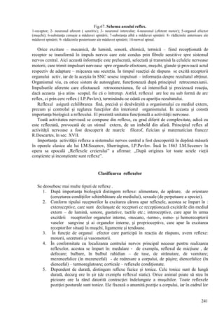241
Fig.67. Schema arcului reflex.
1-receptor; 2- neuronul aferent ( senzitiv); 3- neuronul intercalar; 4-neuronul (eferent motor); 5-organul efector
(muşchi); 6-substanţa cenuşie a măduvei spinării; 7-substanţa albă a măduvei spinării: 8- rădăcinile anterioare ale
măduvei spinării; 9- rădăcinile posterioare ale măduvei spinării; 10-nervul spinal.
Orice excitare – mecanică, de lumină, sonoră, chimică, termică – fiind recepționată de
receptor se transformă în impuls nervos care este condus prin fibrele senzitive spre sistemul
nervos central. Aici această informație este prelucrată, selectată și transmisă la celulele nervoase
motorii, care trimit impulsuri nervoase spre organele efectoare, mușchi, glande și provoacă actul
respectiv de adaptare – mișcarea sau secreția. În timpul reacției de răspuns se excită receptorii
organului activ, iar de la aceștia în SNC sosesc impulsuri – informația despre rezultatul obținut.
Organismul viu, ca orice sistem de autoreglare, funcționează după principiul retroconexiunii.
Impulsurile aferente care efectuează retroconexiunea, fie că intensifică și precizează reacţia,
dacă aceasta și-a atins scopul, fie că o întrerup. Astfel, reflexul are loc nu sub formă de arc
reflex, ci prin cerc reflex ( I.P.Pavlov), terminându-se odată cu apariția rezultatului.
Reflexul asigură echilibrarea fină, precisă şi desăvârșită a organismului cu mediul extern,
precum şi controlul şi reglarea funcţiilor din interiorul organismului. În aceasta şi constă
importanţa biologică a reflexului. El prezintă unitatea funcţională a activităţii nervoase.
Toată activitatea nervoasă se compune din reflexe, cu grad diferit de complexitate, adică ea
este reflectată, provocată de un stimul extern, de un imbold din afară. Principiul reflex al
activităţii nervoase a fost descoperit de marele filozof, fizician şi matematician francez
R.Descartes, în sec. XVII.
Importanţa activităţii reflexe a sistemului nervos central a fost descoperită în deplină măsură
în operele clasice ale lui I.M.Secenov, Sherrington, I.P.Pavlov. Încă în 1863 I.M.Secenov în
opera sa epocală ,,Reflexele creierului” a afirmat: ,,După originea lor toate actele vieţii
conştiente şi inconştiente sunt reflexe”.
Clasificarea reflexelor
Se deosebesc mai multe tipuri de reflexe .
1. După importanţa biologică distingem reflexe: alimentare, de apărare, de orientare
(cercetarea condiţiilor schimbătoare ale mediului), sexuale (de perpetuare a speciei).
2. Conform tipului receptorilor la excitarea cărora apar reflexele, acestea se împart în :
exteroceptive, care sunt declanşate de receptori ce recepţionează excitările din mediul
extern – de lumină, sonore, gustative, tactile etc.; interoceptive, care apar în urma
excitării receptorilor organelor interne, -mecano, -termo-, osmo- şi hemoreceptorii
vaselor sangvine şi ai organelor interne, şi proprioceptive, care apar la excitarea
receptorilor situaţi în muşchi, ligamente şi tendoane.
3. În funcţie de organul efector care participă în reacţia de răspuns, avem reflexe:
motorii, secretorii şi vasomotorii.
4. În conformitate cu localizarea centrului nervos principal necesar pentru realizarea
reflexelor, acestea se împart în: medulare - de exemplu, reflexul de micţiune , de
defecare; bulbare, în bulbul rahidian – de tuse, de strănutare, de vomitare;
mezencefalice (în mezencefal) - de redresare a corpului, de păşire; diencefalice (în
diencefal) – termoreglatoare; corticale – reflexele condiţionate.
5. Dependent de durată, distingem reflexe fazice şi tonice. Cele tonice sunt de lungă
durată, decurg ore în şir (de exemplu reflexul static). Orice animal poate să stea în
picioare ore la rând datorită contracţiei îndelungate a muşchilor. Toate reflexele
poziţiei posturale sunt tonice. Ele fixează o anumită poziţie a corpului, iar în cadrul lor
 