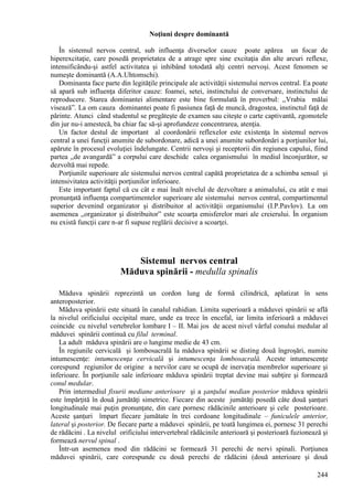 244
Noţiuni despre dominantă
În sistemul nervos central, sub influenţa diverselor cauze poate apărea un focar de
hiperexcitaţie, care posedă proprietatea de a atrage spre sine excitaţia din alte arcuri reflexe,
intensificându-şi astfel activitatea şi inhibând totodată alţi centri nervoşi. Acest fenomen se
numeşte dominantă (A.A.Uhtomschi).
Dominanta face parte din legităţile principale ale activităţii sistemului nervos central. Ea poate
să apară sub influenţa diferitor cauze: foamei, setei, instinctului de conversare, instinctului de
reproducere. Starea dominantei alimentare este bine formulată în proverbul: ,,Vrabia mălai
visează”. La om cauza dominantei poate fi pasiunea faţă de muncă, dragostea, instinctul faţă de
părinte. Atunci când studentul se pregăteşte de examen sau citeşte o carte captivantă, zgomotele
din jur nu-i amestecă, ba chiar fac să-şi aprofundeze concentrarea, atenţia.
Un factor destul de important al coordonării reflexelor este existenţa în sistemul nervos
central a unei funcţii anumite de subordonare, adică a unei anumite subordonări a porţiunilor lui,
apărute în procesul evoluţiei îndelungate. Centrii nervoşi şi receptorii din regiunea capului, fiind
partea ,,de avangardă” a corpului care deschide calea organismului în mediul înconjurător, se
dezvoltă mai repede.
Porţiunile superioare ale sistemului nervos central capătă proprietatea de a schimba sensul şi
intensivitatea activităţii porţiunilor inferioare.
Este important faptul că cu cât e mai înalt nivelul de dezvoltare a animalului, cu atât e mai
pronunţată influenţa compartimentelor superioare ale sistemului nervos central, compartimentul
superior devenind organizator şi distribuitor al activităţii organismului (I.P.Pavlov). La om
asemenea ,,organizator şi distribuitor” este scoarţa emisferelor mari ale creierului. În organism
nu există funcţii care n-ar fi supuse reglării decisive a scoarţei.
Sistemul nervos central
Măduva spinării - medulla spinalis
Măduva spinării reprezintă un cordon lung de formă cilindrică, aplatizat în sens
anteroposterior.
Măduva spinării este situată în canalul rahidian. Limita superioară a măduvei spinării se află
la nivelul orificiului occipital mare, unde ea trece în encefal, iar limita inferioară a măduvei
coincide cu nivelul vertebrelor lombare I – II. Mai jos de acest nivel vârful conului medular al
măduvei spinării continuă cu filul terminal.
La adult măduva spinării are o lungime medie de 43 cm.
În regiunile cervicală şi lombosacrală la măduva spinării se disting două îngroşări, numite
intumescenţe: intumescenţa cervicală şi intumescenţa lombosacrală. Aceste intumescenţe
corespund regiunilor de origine a nervilor care se ocupă de inervaţia membrelor superioare şi
inferioare. În porţiunile sale inferioare măduva spinării treptat devine mai subţire şi formează
conul medular.
Prin intermediul fisurii mediane anterioare şi a şanţului median posterior măduva spinării
este împărţită în două jumătăţi simetrice. Fiecare din aceste jumătăţi posedă câte două şanţuri
longitudinale mai puţin pronunţate, din care pornesc rădăcinile anterioare şi cele posterioare.
Aceste şanţuri împart fiecare jumătate în trei cordoane longitudinale – funiculele anterior,
lateral şi posterior. De fiecare parte a măduvei spinării, pe toată lungimea ei, pornesc 31 perechi
de rădăcini . La nivelul orificiului intervertebral rădăcinile anterioară şi posterioară fuzionează şi
formează nervul spinal .
Într-un asemenea mod din rădăcini se formează 31 perechi de nervi spinali. Porţiunea
măduvei spinării, care corespunde cu două perechi de rădăcini (două anterioare şi două
 