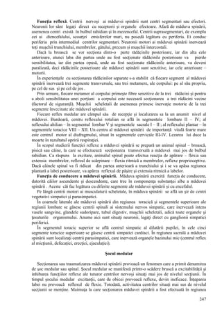 247
Funcţia reflexă. Centrii nervoşi ai măduvei spinării sunt centri segmentari sau efectori.
Neuronii lor sânt legaţi direct cu receptorii şi organele efectoare. Afară de măduva spinării,
asemenea centri există în bulbul rahidian şi în mezencefal. Centrii suprasegmentari, de exemplu
cei ai diencefalului, scoarţei emisferelor mari, nu posedă legătura cu periferia. Ei conduc
periferia prin intermediul centrilor segmentari. Neuronii motori ai măduvei spinării inervează
toţi muşchii trunchiului, membrelor, gâtului, precum şi muşchii intercostali.
Dacă la broască se vor secţiona dintr-o parte rădăcinile posterioare, iar din alta cele
anterioare, atunci laba din partea unde au fost secţionate rădăcinile posterioare va pierde
sensibilitatea, iar din partea opusă, unde au fost secţionate rădăcinile anterioare, va deveni
paralizată, deci rădăcinile posterioare ale măduvei spinării sunt senzitive, iar cele anterioare –
motorii.
În experienţele cu secţionarea rădăcinilor separate s-a stabilit că fiecare segment al măduvei
spinării inervează trei segmente transversale, sau trei metamere, ale corpului: pe al său propriu,
pe cel de sus şi pe cel de jos .
Prin urmare, fiecare metamer al corpului primeşte fibre senzitive de la trei rădăcini şi pentru
a aboli sensibilitatea unei porţiuni a corpului este necesară secţionarea a trei rădăcini vecine
(factorul de siguranţă). Muşchii scheletali de asemenea primesc inervaţie motorie de la trei
segmente învecinate ale măduvei spinării.
Fiecare reflex medular are câmpul său de recepţie şi localizarea sa la un anumit nivel al
măduvei. Bunăoară, centru reflexului rotulian se află în segmentele lombare II – IV; al
reflexului ahilian – în segmentul lombar V şi segmentele sacrale I – II ; al reflexului plantar – în
segmentele toracice VIII – XII. Un centru al măduvei spinării de importanţă vitală foarte mare
este centrul motor al diafragmului, situat în segmentele cervicale III-IV. Lezarea lui duce la
moarte în rezultatul opririi respiraţiei.
În scopul studierii funcţiei reflexe a măduvei spinării se prepară un animal spinal – broască,
pisică sau câine, la care se efectuează secţionarea transversală a măduvei mai jos de bulbul
rahidian. Ca răspuns la excitare, animalul spinal poate efectua reacţia de apărare – flexia sau
extensia membrelor, reflexul de scărpinare – flexia ritmică a membrelor, reflexe proprioceptive.
Dacă câinele spinal va fi ridicat din partea anterioară a trunchiului şi i se va apăsa regiunea
plantară a labei posterioare, va apărea reflexul de păşire şi extensia ritmică a labelor.
Funcţia de conducere a măduvei spinării. Măduva spinării exercită funcţia de conducere,
datorită căilor ascendente şi descendente, care trec în componenţa substanţei albe a măduvei
spinării . Aceste căi fac legătura cu diferite segmente ale măduvei spinării şi cu encefalul.
Pe lângă centrii motori ai musculaturii scheletale, în măduva spinării se află un şir de centri
vegetativi simpatici şi parasimpatici.
În coarnele laterale ale măduvei spinării din regiunea toracică şi segmentele superioare ale
regiunii lombare se găsesc centrii spinali ai sistemului nervos simpatic, care inervează intens
vasele sangvine, glandele sudoripare, tubul digestiv, muşchii scheletali, adică toate organele şi
ţesuturile organismului. Anume aici sunt situaţi neuronii, legaţi direct cu ganglionii simpatici
periferici.
În segmentul toracic superior se află centrul simpatic al dilatării pupilei, în cele cinci
segmente toracice superioare se găsesc centrii simpatici cardiaci. În regiunea sacrală a măduvei
spinării sunt localizaţi centrii parasimpatici, care inervează organele bazinului mic (centrul reflex
al micţiunii, defecaţiei, erecţiei, ejaculaţiei).
Şocul medular
Secţionarea sau traumatizarea măduvei spinării provoacă un fenomen care a primit denumirea
de şoc medular sau spinal. Şocul medular se manifestă printr-o scădere bruscă a excitabilităţii şi
inhibarea funcţiilor reflexe ale tuturor centrilor nervoşi situaţi mai jos de nivelul secţiunii. În
timpul şocului medular excitanţii, care de obicei provoacă reflexe, devin ineficace. Înţeparea
labei nu provoacă reflexul de flexie. Totodată, activitatea centrilor situaţi mai sus de nivelul
secţiunii se menţine. Maimuţa la care secţionarea măduvei spinării a fost efectuată în regiunea
 
