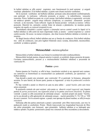 251
în bulbul rahidian se află centrul respirator, care funcţionează în mod automat şi asigură
ventilaţia plămânilor; 5) în bulbul rahidian şi punte sunt situate nucleele vestibulare.
De la nucleele vestibulare ale bulbului rahidian porneşte calea descendentă vestibulospinală,
care participă la realizarea reflexelor posturale, şi anume – la redistribuirea tonusului
muscular. Pisica bulbară nu poate sta şi nici merge, însă bulbul rahidian şi segmentele cervicale
ale măduvei spinării asigură totuşi reflexele complicate, ce constituie elementele poziţiei
verticale şi ale mersului. Toate reflexele legate de funcţia poziţiei verticale se numesc reflexe
posturale. Datorită lor, animalul, contrar forţei de atracţie a pământului, îşi menţine poziţia
corpului, de regulă, cu vertexul (creştetul) în sus.
Însemnătatea deosebită a acestei regiuni a sistemului nervos central constă în faptul că în
bulbul rahidian se află centri de mare importanţă vitală, şi anume – centrul respirator şi centrul
cardiovascular. De aceea nu numai extirparea , dar chiar lezarea bulbului rahidian se termină cu
moartea.
Pe lângă funcţia reflexă, bulbul rahidian mai are şi funcţia de conducere. Prin bulbul rahidian
trec căile de conducere, care prin legături bilaterale unesc scoarţa, diencefalul, mezencefalul,
cerebelul şi măduva spinării.
Metencefalul - metencephalon
Metencefalul şi bulbul rahidian s-au format în rezultatul divizării rombencefalului.
Metencefalul include puntea, dispusă anterior (ventral), şi cerebelul, dispus posterior de punte.
Cavitatea metencefalului, precum şi a mielencefalului (bulbului rahidian) e prezentată de
ventriculul IV.
Puntea - pons
Puntea (puntea lui Varolio), se află la baza trunchiului cerebral şi are aspectul unei castane;
sus (anterior) ea limitrofează cu mezencefalul (cu pedunculii cerebrali), jos (posterior) – cu
bulbul rahidian.
Faţa dorsală a punţii este orientată spre ventriculul IV şi participă la formarea planşeului
acestuia. În sens lateral, de fiecare parte, puntea se îngustează şi trece în pedunculul cerebelos
mediu.
Pe faţa ventrală a punţii se observă un şanţ nu prea adânc – şanţul bazilar, prin care trece
artera omonimă.
În porţiunile centrale ale unei secţiuni prin punte se observă corpul trapezoid, care împarte
puntea în partea posterioară, sau tegmentul punţii şi în partea anterioară (bazilară). În partea
ventrală a punţii se află concentraţii de substanţă cenuşie – nucleele proprii ale punţii Varolio,
iar în cea dorsală se află aglomerări de substanţă cenuşie – nucleii perechilor V, VI, VII, şi VIII
de nervi cranieni. Tot în această regiune a punţii, mai aproape de planul median, se află formaţia
reticulară.
Substanţa albă din partea anterioară a punţii e prezentată prin fibre transversale, care trec în
pedunculii medii ai cerebelului. Printre fibrele transversale trec longitudinal fascicule de fibre
ale căilor piramidale, care formează apoi piramidele bulbului rahidian şi se îndreaptă spre
măduva spinării. În partea posterioară a punţii trec sistemele de fibre ascendente şi descendente.
 
