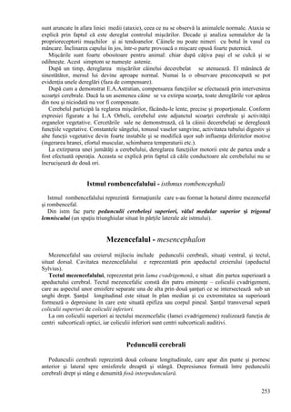 253
sunt aruncate în afara liniei medii (ataxie), ceea ce nu se observă la animalele normale. Ataxia se
explică prin faptul că este dereglat controlul mişcărilor. Decade şi analiza semnalelor de la
proprioreceptorii muşchilor şi ai tendoanelor. Câinele nu poate nimeri cu botul în vasul cu
mâncare. Înclinarea capului în jos, într-o parte provoacă o mişcare opusă foarte puternică.
Mişcările sunt foarte obositoare pentru animal: chiar după câţiva paşi el se culcă şi se
odihneşte. Acest simptom se numeşte astenie.
După un timp, dereglarea mişcărilor câinelui decerebelat se atenuează. El mănâncă de
sinestătător, mersul lui devine aproape normal. Numai la o observare preconcepută se pot
evidenţia unele dereglări (faza de compensare).
După cum a demonstrat E.A.Astratian, compensarea funcţiilor se efectuează prin intervenirea
scoarţei cerebrale. Dacă la un asemenea câine se va extirpa scoarţa, toate dereglările vor apărea
din nou şi niciodată nu vor fi compensate.
Cerebelul participă la reglarea mişcărilor, făcându-le lente, precise şi proporţionale. Conform
expresiei figurate a lui L.A Orbeli, cerebelul este adjunctul scoarţei cerebrale şi activităţii
organelor vegetative. Cercetările sale ne demonstrează, că la câinii decerebelaţi se dereglează
funcţiile vegetative. Constantele sângelui, tonusul vaselor sangvine, activitatea tubului digestiv şi
alte funcţii vegetative devin foarte instabile şi se modifică uşor sub influenţa diferitelor motive
(ingerarea hranei, efortul muscular, schimbarea temperaturii etc.).
La extirparea unei jumătăţi a cerebelului, dereglarea funcţiilor motorii este de partea unde a
fost efectuată operaţia. Aceasta se explică prin faptul că căile conductoare ale cerebelului nu se
încrucişează de două ori.
Istmul rombencefalului - isthmus rombencephali
Istmul rombencefalului reprezintă formaţiunile care s-au format la hotarul dintre mezencefal
şi rombencefal.
Din istm fac parte pedunculii cerebeloşi superiori, vălul medular superior şi trigonul
lemniscului (un spaţiu triunghiular situat în părţile laterale ale istmului).
Mezencefalul - mesencephalon
Mezencefalul sau creierul mijlociu include pedunculii cerebrali, situaţi ventral, şi tectul,
situat dorsal. Cavitatea mezencefalului e reprezentată prin apeductul creierului (apeductul
Sylvius).
Tectul mezencefalului, reprezentat prin lama cvadrigemenă, e situat din partea superioară a
apeductului cerebral. Tectul mezencefalic constă din patru eminenţe – coliculii cvadrigemeni,
care au aspectul unor emisfere separate una de alta prin două şanţuri ce se intersectează sub un
unghi drept. Şanţul longitudinal este situat în plan median şi cu extremitatea sa superioară
formează o depresiune în care este situată epifiza sau corpul pineal. Şanţul transversal separă
coliculii superiori de coliculii inferiori.
La om coliculii superiori ai tectului mezencefalic (lamei cvadrigemene) realizează funcţia de
centri subcorticali optici, iar coliculii inferiori sunt centri subcorticali auditivi.
Pedunculii cerebrali
Pedunculii cerebrali reprezintă două coloane longitudinale, care apar din punte şi pornesc
anterior şi lateral spre emisferele dreaptă şi stângă. Depresiunea formată între pedunculii
cerebrali drept şi stâng e denumită fosă interpedunculară.
 