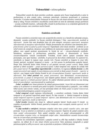 258
Telencefalul - telencephalon
Telencefalul constă din două emisfere cerebrale, separate prin fisura longitudinală şi unite în
profunzimea ei prin corpul calos, comisura anterioară, comisura posterioară şi comisura
fornixului. Cavitatea telencefalului formează în fiecare din cele două emisfere ventriculii laterali
drept şi stâng. Fiecare emisferă a encefalului constă dintr-un strat de substanţă cenuşie periferică
– scoarţa cerebrală (mantia) , substanţă albă, situată în profunzimea ei şi conţinând aglomerări de
substanţă cenuşie, care constituie nucleii bazali.
Emisfera cerebrală
Fiecare emisferă a creierului mare este acoperită din exterior cu o lamelă de substanţă cenuşie,
denumită scoarţa cerebrală. La fiecare emisferă distingem 3 feţe: superolaterală, medială şi
inferioară. Aceste feţe sunt despărţite între ele prin margini: marginea superioară, marginea
inferolaterală şi marginea inferomedială. Părţile proeminente ale emisferei sunt denumite poli –
polul frontal, polul occipital şi polul temporal. Suprafeţele celor două emisfere cerebrale au un
relief extern de complicat, deoarece sunt străbătute de numeroase şanţuri mai mult sau mai puţin
adânci, care separă porţiuni proeminente în formă de sul – circumvoluţiunile cerebrale.
Întinderea, orientarea şi profunzimea şanţurilor, precum şi dimensiunile şi forma
circumvoluţiunilor variază considerabil. Totodată, există câteva şanţuri constante bine
pronunţate, care apar înaintea celorlalte, în procesul de dezvoltare embrionară. Cu ajutorul lor,
emisferele se împart în regiuni mari, numite lobi. Fiecare emisferă se împarte în cinci lobi:
frontal, parietal, occipital, temporal şi insula – un lob ascuns în profunzimea şanţului lateral.
Drept linie limitrofă dintre lobul frontal şi cel parietal serveşte şanţul central, dintre lobul
parietal şi lobul occipital – şanţul parietooccipital. Lobul temporal este separat de ceilalţi lobi
prin şanţul lateral. Pe suprafaţa superolaterală a emisferei, în regiunea lobului frontal, se află
şanţul precentral care separă circumvoluţiunea precentrală şi două şanţuri frontale – superior şi
inferior, care împart restul lobului frontal în trei circumvoluţiuni frontale: superioară, medie şi
inferioară. Prin lobul parietal trec şanţul postcentral, care delimitează circumvoluţiunea
postcentrală, şi şanţul ei intraparietal, care împarte partea rămasă a lobului parietal îl lobulul
parietal superior şi lobulul parietal inferior. În cadrul lobulului parietal inferior se mai disting
două circumvoluţiuni: supramarginală şi unghiulară.
Lobul occipital este situat posterior de şanţul parietooccipital. Acest lob are dimensiuni mai
reduse şi în posterior se termină prin polul occipital. Circumvoluţiunile şi şanţurile , care străbat
lobul acesta sunt extrem variate, cel mai pronunţat dintre ele fiind şanţul occipital transversal,
care reprezintă prelungirea şanţului intraparietal.
Lobul temporal ocupă regiunea inferolaterală a emisferei cerebrale. Limita dintre lobul
temporal şi cel parietal reprezintă şanţul lateral. Pe faţa externă a lobului temporal se disting
şanţul temporal superior şi şanţul temporal inferior, care delimitează cele trei circumvoluţiuni
temporale superioare, medie şi inferioară.
Lobul insular (insula) este situat în adâncul şanţului lateral. Insula poate fi văzută cu
condiţia că porţiunile lobilor frontal, parietal şi temporal, care o acoperă, numite opercul, vor fi
înlăturate.
Pe faţa medială a emisferei, deasupra corpului calos trece şanţul corpului calos, care apoi
porneşte în jos şi anterior şi continuă cu şanţul hipocampului. Superior de şanţul corpului calos
trece şanţul calosomarginal. Între şanţul corpului calos şi şanţul calosomarginal se află
circumvoluţia corpului calos, ce înconjoară corpul calos. Anteroinferior această circumvoluţie
trece în circumvoluţia parahipocampală.
Anterior de extremitatea superioară a şanţului central se află faţa medială a lobului frontal
superior, iar alături de el este situat lobulul paracentral. Între porţiunea marginală şi şanţul
parietooccipital se află precuneul, care se prezintă ca porţiune a lobului parietal.
 