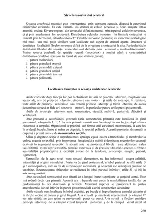 260
Structura cortexului cerebral
Scoarţa cerebrală (mantia) este reprezentată prin substanţa cenuşie, dispusă la exteriorul
emisferelor creierului. Ea este formată din straturi de celule nervoase şi fibre, aranjate într-o
anumită ordine. Diverse regiuni ale cortexului diferă nu numai prin aspectul celulelor nervoase,
ci şi prin amplasarea lor reciprocă. Distribuirea celulelor nervoase în limitele cortexului e
marcată prin termenul,, citoarhitectonică”. Celulele nervoase (neuronii) cu caractere morfologice
mai mult sau mai puţin similare sunt localizate sub aspect de straturi aparte. Structura şi
densitatea localizării fibrelor nervoase diferă de la o regiune a cortexului la alta. Particularităţile
distribuirii fibrelor din scoarţa creierului sunt definite prin termenul ,, mieloarhitectonică”.
Pentru scoarţa cerebrală de apariţie recentă (neocortex) a omului adult e caracteristică
distribuirea celulelor nervoase în formă de şase straturi (pături).
1. pătura moleculară
2. pătura granulară externă
3. pătura piramidală externă
4. pătura granulară internă
5. pătura piramidală internă
6. pătura polimorfă.
Localizarea funcţiilor în scoarţa emisferelor cerebrale
Ariile corticale după funcţia lor pot fi clasificate în: arii de protecţie aferente, receptoare sau
senzoriale, arii de protecţie eferente, efectoare sau motorii şi ariile de asociaţie. În realitate,
toate ariile de proiecţie senzoriale sau motorii primesc aferenţe şi trimit eferenţe, de aceea
denumirea corectă ar fi de arii senzorio – motorii, în particular pentru ariile pre şi postcentrală.
Ariile de proiecţie aferente sunt: somestezice, vizuală, auditivă, gustativă, olfactivă şi
vestibulară.
Aria primară a sensibilităţii generale (aria somestezică primară) este localizată în girul
postcentral, câmpurile 3, 1, 2. În aria primară, centrii sunt localizaţi de sus în jos, după silueta
răsturnată a corpului. Organismul se prezintă sub forma unei caricaturi monstruoase, la care ies
în evidenţă buzele, limba şi mâna cu degetele, în special policele. Această proiecţie răsturnată a
corpului a primit numele de homunculus senzitiv.
Mâna şi degetele ocupă o suprafaţă mare, aproape egală cu cea a trunchiului şi membrelor la
un loc; aceasta se explică prin importanţa funcţională a mâinii şi densitatea receptorilor cutanaţi
existenţi în segmentul respectiv. În această arie se proiectează fibrele care alcătuiesc calea
sensibilităţii exteroceptive (tactile, termice, dureroase şi de presiune) din piele, precum şi fibrele
sensibilităţii proprioceptive ( excitaţii culese de la tendoane, articulaţii, muşchi, periost,
ligamente).
Senzaţiile de la acest nivel sunt senzaţii elementare, nu dau informaţii asupra calităţii,
intensităţii şi originii stimulului . Posterior de girul postcentral, în lobul parietal se află ariile 5
şi 7 somatopsihice, care au rol de a recunoaşte asemănări şi deosebiri ale senzaţiilor produse de
un obiect. Recunoaşterea obiectelor se realizează în lobul parietal inferior ( ariile 39 şi 40) în
aria tactognostică.
Aria secundară somestezică este situată de-a lungul buzei superioare a şanţului lateral. Este
mai redusă decât cea primară. Această arie răspunde mai puţin la sensibilitatea tactilă, dar cu
predominanţă la cea dureroasă şi termică. Membrul superior se proiectează în partea
anterolaterală, iar cel inferior în partea posteromedială a ariei somestezice secundare.
Ariile vizuale sunt localizate în lobul occipital, pe buzele şi în profunzimea şanţului calcarin şi
în părţile vecine de cuneus şi girul lingual. Aria vizuală primară este reprezentată de câmpul 17
sau aria striată, pe care retina se proiectează punct cu punct. Aria striată a fiecărei emisfere
primeşte informaţii de la câmpul vizual temporal ipsilateral şi de la câmpul vizual nazal al
 