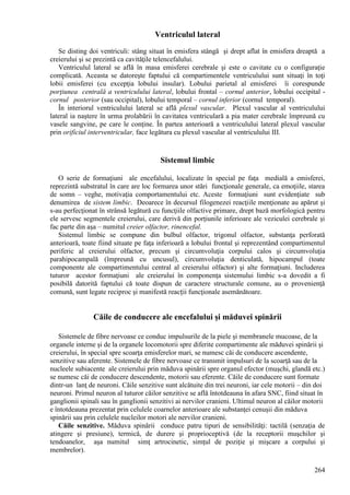 264
Ventriculul lateral
Se disting doi ventriculi: stâng situat în emisfera stângă şi drept aflat în emisfera dreaptă a
creierului şi se prezintă ca cavităţile telencefalului.
Ventriculul lateral se află în masa emisferei cerebrale şi este o cavitate cu o configuraţie
complicată. Aceasta se datoreşte faptului că compartimentele ventriculului sunt situaţi în toţi
lobii emisferei (cu excepţia lobului insular). Lobului parietal al emisferei îi corespunde
porţiunea centrală a ventriculului lateral, lobului frontal – cornul anterior, lobului occipital -
cornul posterior (sau occipital), lobului temporal – cornul inferior (cornul temporal).
În interiorul ventriculului lateral se află plexul vascular. Plexul vascular al ventriculului
lateral ia naştere în urma prolabării în cavitatea ventriculară a pia mater cerebrale împreună cu
vasele sangvine, pe care le conţine. În partea anterioară a ventriculului lateral plexul vascular
prin orificiul interventricular, face legătura cu plexul vascular al ventriculului III.
Sistemul limbic
O serie de formaţiuni ale encefalului, localizate în special pe faţa medială a emisferei,
reprezintă substratul în care are loc formarea unor stări funcţionale generale, ca emoţiile, starea
de somn – veghe, motivaţia comportamentului etc. Aceste formaţiuni sunt evidenţiate sub
denumirea de sistem limbic. Deoarece în decursul filogenezei reacţiile menţionate au apărut şi
s-au perfecţionat în strânsă legătură cu funcţiile olfactive primare, drept bază morfologică pentru
ele servesc segmentele creierului, care derivă din porţiunile inferioare ale veziculei cerebrale şi
fac parte din aşa – numitul creier olfactor, rinencefal.
Sistemul limbic se compune din bulbul olfactor, trigonul olfactor, substanţa perforată
anterioară, toate fiind situate pe faţa inferioară a lobului frontal şi reprezentând compartimentul
periferic al creierului olfactor, precum şi circumvoluţia corpului calos şi circumvoluţia
parahipocampală (împreună cu uncusul), circumvoluţia denticulată, hipocampul (toate
componente ale compartimentului central al creierului olfactor) şi alte formaţiuni. Includerea
tuturor acestor formaţiuni ale creierului în componenţa sistemului limbic s-a dovedit a fi
posibilă datorită faptului că toate dispun de caractere structurale comune, au o provenienţă
comună, sunt legate reciproc şi manifestă reacții funcţionale asemănătoare.
Căile de conducere ale encefalului şi măduvei spinării
Sistemele de fibre nervoase ce conduc impulsurile de la piele şi membranele mucoase, de la
organele interne şi de la organele locomotorii spre diferite compartimente ale măduvei spinării şi
creierului, în special spre scoarţa emisferelor mari, se numesc căi de conducere ascendente,
senzitive sau aferente. Sistemele de fibre nervoase ce transmit impulsuri de la scoarţă sau de la
nucleele subiacente ale creierului prin măduva spinării spre organul efector (muşchi, glandă etc.)
se numesc căi de conducere descendente, motorii sau eferente. Căile de conducere sunt formate
dintr-un lanţ de neuroni. Căile senzitive sunt alcătuite din trei neuroni, iar cele motorii – din doi
neuroni. Primul neuron al tuturor căilor senzitive se află întotdeauna în afara SNC, fiind situat în
ganglionii spinali sau în ganglionii senzitivi ai nervilor cranieni. Ultimul neuron al căilor motorii
e întotdeauna prezentat prin celulele coarnelor anterioare ale substanţei cenuşii din măduva
spinării sau prin celulele nucleilor motori ale nervilor cranieni.
Căile senzitive. Măduva spinării conduce patru tipuri de sensibilităţi: tactilă (senzaţia de
atingere şi presiune), termică, de durere şi proprioceptivă (de la receptorii muşchilor şi
tendoanelor, aşa numitul simţ artrocinetic, simţul de poziţie şi mişcare a corpului şi
membrelor).
 