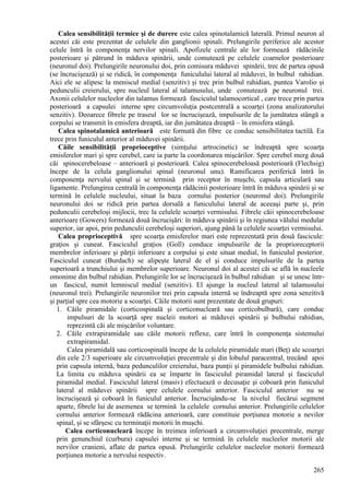 265
Calea sensibilităţii termice şi de durere este calea spinotalamică laterală. Primul neuron al
acestei căi este prezentat de celulele din ganglionii spinali. Prelungirile periferice ale acestor
celule întră în componenţa nervilor spinali. Apofizele centrale ale lor formează rădăcinile
posterioare şi pătrund în măduva spinării, unde comutează pe celulele coarnelor posterioare
(neuronul doi). Prelungirile neuronului doi, prin comisura măduvei spinării, trec de partea opusă
(se încrucişează) şi se ridică, în componenţa funiculului lateral al măduvei, în bulbul rahidian.
Aici ele se alipesc la meniscul medial (senzitiv) şi trec prin bulbul rahidian, puntea Varolio şi
pedunculii creierului, spre nucleul lateral al talamusului, unde comutează pe neuronul trei.
Axonii celulelor nucleelor din talamus formează fasciculul talamocortical , care trece prin partea
posterioară a capsulei interne spre circumvoluţia postcentrală a scoarţei (zona analizatorului
senzitiv). Deoarece fibrele pe traseul lor se încrucişează, impulsurile de la jumătatea stângă a
corpului se transmit în emisfera dreaptă, iar din jumătatea dreaptă – în emisfera stângă.
Calea spinotalamică anterioară este formată din fibre ce conduc sensibilitatea tactilă. Ea
trece prin funiculul anterior al măduvei spinării.
Căile sensibilităţii proprioceptive (simţului artrocinetic) se îndreaptă spre scoarţa
emisferelor mari şi spre cerebel, care ia parte la coordonarea mişcărilor. Spre cerebel merg două
căi spinocerebeloase – anterioară şi posterioară. Calea spinocerebeloasă posterioară (Flechsig)
începe de la celula ganglionului spinal (neuronul unu). Ramificarea periferică întră în
componenţa nervului spinal şi se termină prin receptor în muşchi, capsula articulară sau
ligamente. Prelungirea centrală în componenţa rădăcinii posterioare întră în măduva spinării şi se
termină în celulele nucleului, situat la baza cornului posterior (neuronul doi). Prelungirile
neuronului doi se ridică prin partea dorsală a funiculului lateral de aceeaşi parte şi, prin
pedunculii cerebeloşi mijlocii, trec la celulele scoarţei vermisului. Fibrele căii spinocerebeloase
anterioare (Gowers) formează două încrucişări: în măduva spinării şi în regiunea vălului medular
superior, iar apoi, prin pedunculii cerebeloşi superiori, ajung până la celulele scoarţei vermisului.
Calea proprioceptivă spre scoarţa emisferelor mari este reprezentată prin două fascicule:
graţios şi cuneat. Fasciculul graţios (Goll) conduce impulsurile de la proprioreceptorii
membrelor inferioare şi părţii inferioare a corpului şi este situat medial, în funiculul posterior.
Fasciculul cuneat (Burdach) se alipeşte lateral de el şi conduce impulsurile de la partea
superioară a trunchiului şi membrelor superioare. Neuronul doi al acestei căi se află în nucleele
omonime din bulbul rahidian. Prelungirile lor se încrucişează în bulbul rahidian şi se unesc într-
un fascicul, numit lemniscul medial (senzitiv). El ajunge la nucleul lateral al talamusului
(neuronul trei). Prelungirile neuronilor trei prin capsula internă se îndreaptă spre zona senzitivă
şi parţial spre cea motorie a scoarţei. Căile motorii sunt prezentate de două grupuri:
1. Căile piramidale (corticospinală şi corticonucleară sau corticobulbară), care conduc
impulsuri de la scoarţă spre nucleii motori ai măduvei spinării şi bulbului rahidian,
reprezintă căi ale mişcărilor voluntare.
2. Căile extrapiramidale sau căile motorii reflexe, care întră în componenţa sistemului
extrapiramidal.
Calea piramidală sau corticospinală începe de la celulele piramidale mari (Beţ) ale scoarţei
din cele 2/3 superioare ale circumvoluţiei precentrale şi din lobulul paracentral, trecând apoi
prin capsula internă, baza pedunculilor creierului, baza punţii şi piramidele bulbului rahidian.
La limita cu măduva spinării ea se împarte în fasciculul piramidal lateral şi fasciculul
piramidal medial. Fasciculul lateral (masiv) efectuează o decusaţie şi coboară prin funiculul
lateral al măduvei spinării spre celulele cornului anterior. Fasciculul anterior nu se
încrucişează şi coboară în funiculul anterior. Încrucişându-se la nivelul fiecărui segment
aparte, fibrele lui de asemenea se termină la celulele cornului anterior. Prelungirile celulelor
cornului anterior formează rădăcina anterioară, care constituie porţiunea motorie a nevilor
spinal, şi se sfârşesc cu terminaţii motorii în muşchi.
Calea corticonucleară începe în treimea inferioară a circumvoluţiei precentrale, merge
prin genunchiul (curbura) capsulei interne şi se termină în celulele nucleelor motorii ale
nervilor cranieni, aflate de partea opusă. Prelungirile celulelor nucleelor motorii formează
porţiunea motorie a nervului respectiv.
 