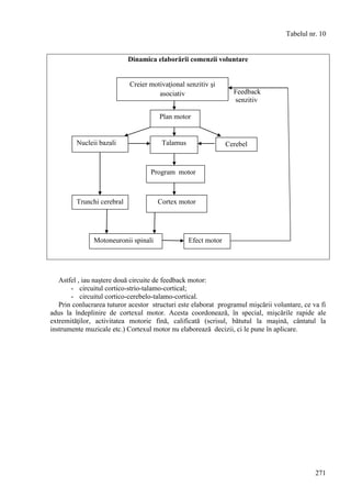 271
Tabelul nr. 10
Dinamica elaborării comenzii voluntare
Feedback
senzitiv
Astfel , iau naştere două circuite de feedback motor:
- circuitul cortico-strio-talamo-cortical;
- circuitul cortico-cerebelo-talamo-cortical.
Prin conlucrarea tuturor acestor structuri este elaborat programul mişcării voluntare, ce va fi
adus la îndeplinire de cortexul motor. Acesta coordonează, în special, mişcările rapide ale
extremităţilor, activitatea motorie fină, calificată (scrisul, bătutul la maşină, cântatul la
instrumente muzicale etc.) Cortexul motor nu elaborează decizii, ci le pune în aplicare.
Creier motivaţional senzitiv şi
asociativ
Plan motor
Talamus
Program motor
Cortex motor
Efect motorMotoneuronii spinali
Trunchi cerebral
Nucleii bazali Cerebel
 