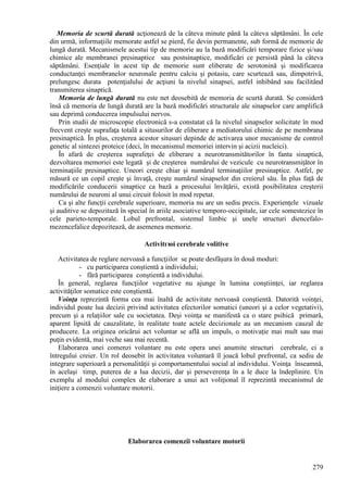 279
Memoria de scurtă durată acţionează de la câteva minute până la câteva săptămâni. În cele
din urmă, informaţiile memorate astfel se pierd, fie devin permanente, sub formă de memorie de
lungă durată. Mecanismele acestui tip de memorie au la bază modificări temporare fizice şi/sau
chimice ale membranei presinaptice sau postsinaptice, modificări ce persistă până la câteva
săptămâni. Esenţiale în acest tip de memorie sunt eliberate de serotonină şi modificarea
conductanţei membranelor neuronale pentru calciu şi potasiu, care scurtează sau, dimpotrivă,
prelungesc durata potenţialului de acţiuni la nivelul sinapsei, astfel inhibând sau facilitând
transmiterea sinaptică.
Memoria de lungă durată nu este net deosebită de memoria de scurtă durată. Se consideră
însă că memoria de lungă durată are la bază modificări structurale ale sinapselor care amplifică
sau deprimă conducerea impulsului nervos.
Prin studii de microscopie electronică s-a constatat că la nivelul sinapselor solicitate în mod
frecvent creşte suprafaţa totală a situsurilor de eliberare a mediatorului chimic de pe membrana
presinaptică. În plus, creşterea acestor situsuri depinde de activarea unor mecanisme de control
genetic al sintezei proteice (deci, în mecanismul memoriei intervin şi acizii nucleici).
În afară de creşterea suprafeţei de eliberare a neurotransmitătorilor în fanta sinaptică,
dezvoltarea memoriei este legată şi de creşterea numărului de vezicule cu neurotransmiţător în
terminaţiile presinaptice. Uneori creşte chiar şi numărul terminaţiilor presinaptice. Astfel, pe
măsură ce un copil creşte şi învaţă, creşte numărul sinapselor din creierul său. În plus faţă de
modificările conducerii sinaptice ca bază a procesului învăţării, există posibilitatea creşterii
numărului de neuroni al unui circuit folosit în mod repetat.
Ca şi alte funcţii cerebrale superioare, memoria nu are un sediu precis. Experienţele vizuale
şi auditive se depozitază în special în ariile asociative temporo-occipitale, iar cele somestezice în
cele parieto-temporale. Lobul prefrontal, sistemul limbic şi unele structuri diencefalo-
mezencefalice depozitează, de asemenea memorie.
Activitгюi cerebrale volitive
Activitatea de reglare nervoasă a funcţiilor se poate desfăşura în două moduri:
- cu participarea conştientă a individului;
- fără participarea conştientă a individului.
În general, reglarea funcţiilor vegetative nu ajunge în lumina conştiinţei, iar reglarea
activităţilor somatice este conştientă.
Voinţa reprezintă forma cea mai înaltă de activitate nervoasă conştientă. Datorită voinţei,
individul poate lua decizii privind activitatea efectorilor somatici (uneori şi a celor vegetativi),
precum şi a relaţiilor sale cu societatea. Deşi voinţa se manifestă ca o stare psihică primară,
aparent lipsită de cauzalitate, în realitate toate actele decizionale au un mecanism cauzal de
producere. La originea oricărui act voluntar se află un impuls, o motivaţie mai mult sau mai
puţin evidentă, mai veche sau mai recentă.
Elaborarea unei comenzi voluntare nu este opera unei anumite structuri cerebrale, ci a
întregului creier. Un rol deosebit în activitatea voluntară îl joacă lobul prefrontal, ca sediu de
integrare superioară a personalităţii şi comportamentului social al individului. Voinţa înseamnă,
în acelaşi timp, puterea de a lua decizii, dar şi perseverenţa în a le duce la îndeplinire. Un
exemplu al modului complex de elaborare a unui act voliţional îl reprezintă mecanismul de
iniţiere a comenzii voluntare motorii.
Elaborarea comenzii voluntare motorii
 