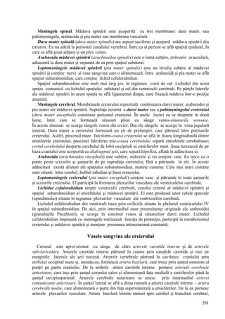 281
Meningele spinal. Măduva spinării este acoperită cu trei membrane: dura mater, sau
pahimeningele, arahnoida şi pia mater sau membrana vasculară.
Dura mater spinală (dura mater spinalis) are aspect saciform şi acoperă măduva spinării din
exterior. Ea nu aderă la periostul canalului vertebral. Între ea şi periost se află spaţiul epidural, în
care se află ţesut adipos şi un plex venos.
Arahnoida măduvei spinării (arachnoidea spinalis) este o lamă subţire, străvezie avasculară,
adiacentă la dura mater şi separată de ea prin spaţiul subdural.
Leptomeningele măduvei spinării (pia mater spinalis) este un înveliş subţire al măduvei
spinării şi conţine nervi şi vase sangvine care o alimentează. Între arahnoidă şi pia mater se află
spaţiul subarahnoidian, care conţine lichid cefalorahidian.
Spaţiul subarahnoidian este mult mai larg jos, în regiunea cozii de cal. Lichidul din acest
spaţiu comunică cu lichidul spaţiului subdural şi cel din ventriculii cerebrali. Pe părţile laterale
ale măduvei spinării în acest spaţiu se află ligamentul dinţat, care fixează măduva într-o poziţie
anumită.
Meningele cerebral. Membranele creierului reprezintă continuarea durei mater, arahnoidei şi
pia mater ale măduvei spinării. Suprafaţa externă a durei mater sau a pahimeningelui creierului
(dura mater encephali) constituie periostul craniului. În unele locuri ea se desparte în două
lame, între care se formează sinusuri pline cu sânge venos-sinusurile venoase.
În aceste sinusuri se scurge sângele venos din creier. Din ele sângele se scurge în vena jugulară
internă. Dura mater a creierului formează un şir de prelungiri, care pătrund între porţiunile
creierului. Astfel, procesul mare falciform-coasa creierului se află în fisura longitudinală dintre
emisferele creierului; procesul falciform mic-coasa cerebelului separă emisferele cerebeloase;
cortul cerebelului desparte cerebelul de lobii occipitali ai emisferelor mari. Şaua turcească de pe
baza craniului este acoperită cu diafragmul şeii, care separă hipofiza, aflată în adâncitura ei.
Arahnoida (arachnoidea encephali) este subţire, străvezie şi nu conţine vase. Ea trece ca o
punte peste scizurile şi şanţurile de pe suprafaţa creierului, fără a pătrunde în ele. În aceste
adâncituri există dilatari ale spaţiului subarahnoidian, numite cisterne. Cele mai mari cisterne
sunt situate între cerebel, bulbul rahidian şi baza creierului.
Leptomeningele creierului (pia mater encephali) conţine vase şi pătrunde în toate şanţurile
şi scizurile creierului. El participă la formarea plexurilor vasculare ale ventriculelor cerebrale.
Lichidul cefalorahidian umple ventriculii cerebrali, canalul central al măduvei spinării şi
spaţiul subarahnoidian al encefalului şi măduvei spinării. El este produsul unor celule speciale
(epindimului) situate în regiunea plexurilor vasculare ale ventriculilor cerebrali.
Lichidul cefalorahidian din ventriculi trece prin orificiile situate în plafonul ventriculului IV
în spaţiul subarahnoidian. De aici, prin intermediul unor proeminenţe originale ale arahnoidei
(granulaţiile Pacchioni), se scurge în sistemul venos al sinusurilor durei mater. Lichidul
cefalorahidian împreună cu meningele realizează funcţia de protecţie, participă la metabolismul
creierului şi măduvei spinării şi menţine presiunea intercraniană constantă.
Vasele sangvine ale creierului
Creierul este aprovizionat cu sânge de către arterele carotide interne şi de arterele
subclaviculare. Arterele carotide interne pătrund în craniu prin canalele carotide şi trec pe
marginile laterale ale şeii turceşti. Arterele vertebrale pătrund în cavitatea craniului prin
orificiul occipital mare şi, unindu-se, formează artera bazilară, care trece prin şanţul omonim al
punţii pe panta craniului. De la ambele artere carotide interne pornesc arterele cerebrale
anterioare, care trec prin şanţul corpului calos şi alimentează faţa medială a emisferelor până la
şanţul occipitoparietal. Arterele cerebrale anterioare se unesc prin intermediul arterei
comunicante anterioare. În şanţul lateral se află a doua ramură a arterei carotide interne – artera
cerebrală medie, care alimentează o parte din faţa superolaterală a emisferelor. De la ea pornesc
arterele plexurilor vasculare. Artera bazilară trimite ramuri spre cerebel şi trunchiul cerebral,
 