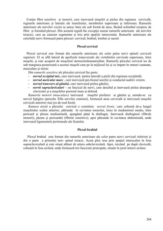 284
Conţin fibre senzitive şi motorii, care inervează muşchii şi pielea din regiunea cervicală,
regiunile anterioare şi laterale ale trunchiului, membrelor superioare şi inferioare. Ramurile
anterioare ale nervilor vecini se unesc între ele sub formă de anse, făcând schimbul reciproc de
fibre şi formând plexuri. Din această regulă fac excepţie numai ramurile anterioare ale nervilor
toracici, care au caracter segmentar şi trec prin spaţiile intercostale. Ramurile anterioare ale
celorlalţi nervi formează patru plexuri: cervical, brahial, lombar şi sacral.
Plexul cervical
Plexul cervical este format din ramurile anterioare ale celor patru nervi spinali cervicali
superiori. El se află lateral de apofizele transversale ale vertebrelor cervicale superioare, între
muşchi, şi este acoperit de muşchiul sternocleidomastoidian. Ramurile plexului cervical ies de
sub marginea posterioară a acestui muşchi cam pe la mijlocul lui şi se împart în ramuri cutanate,
musculare şi mixte.
Din ramurile senzitive ale plexului cervical fac parte:
- nervul occipital mic, care inervează partea laterală a pielii din regiunea occipitală;
- nervul auricular mare , care inervează pavilionul urechii şi conductul auditiv extern;
- nervul transvers al gâtului, care inervează pielea gâtului;
- nervii supraclaviculari – un fascicul de nervi, care deschid şi inervează pielea deasupra
claviculei şi a muşchilor pectoral mare şi deltoid.
Ramurile motorii (musculare) inervează muşchii profunzi ai gâtului şi, unindu-se cu
nervul hipiglos (pereche XIIa nervilor cranieni), formează ansa cervicală şi inervează muşchii
cervicali anteriori mai jos de osul hioid.
Ramura mixtă a plexului cervical o constituie nervul frenic, care coboară de-a lungul
muşchiului scalen anterior, pătrunde în cavitatea toracelui, trece în mediastinul mediu, între
pericard şi pleura mediastinală, ajungând până la diafragm. Inervează diafragmul (fibrele
motorii), pleura şi pericardul (fibrele senzitive), apoi pătrunde în cavitatea abdominală, unde
inervează ligamentele peritoneale ale ficatului.
Plexul brahial
Plexul brahial este format din ramurile anterioare ale celor patru nervi cervicali inferiori şi
din o parte a primului nerv spinal toracic. Acest plex iese prin spaţiul interscalen în fosa
supraclaviculară şi este situat alături de artera subclaviculară. Apoi, trecând pe după claviculă,
coboară în fosa axilară, unde formează trei fascicule principale, situate în jurul arterei axilare.
 