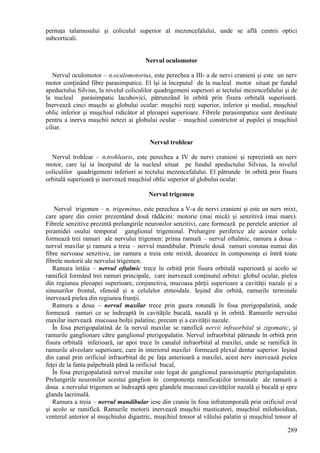 289
pernuţa talamusului şi coliculul superior al mezencefalului, unde se află centrii optici
subcorticali.
Nervul oculomotor
Nervul oculomotor – n.oculomotorius, este perechea a III- a de nervi cranieni şi este un nerv
motor conținând fibre parasimpatice. El îşi ia începutul de la nucleul motor situat pe fundul
apeductului Silvius, la nivelul coliculilor quadrigemeni superiori ai tectului mezencefalului şi de
la nucleul parasimpatic Iacubovici, pătrunzând în orbită prin fisura orbitală superioară.
Inervează cinci muşchi ai globului ocular: muşchii recţi superior, inferior şi medial, muşchiul
oblic inferior şi muşchiul ridicător al pleoapei superioare. Fibrele parasimpatice sunt destinate
pentru a inerva muşchii netezi ai globului ocular – muşchiul constrictor al pupilei şi muşchiul
ciliar.
Nervul trohlear
Nervul trohlear – n.trohlearis, este perechea a IV de nervi cranieni şi reprezintă un nerv
motor, care îşi ia începutul de la nucleul situat pe fundul apeductului Silvius, la nivelul
coliculilor quadrigemeni inferiori ai tectului mezencefalului. El pătrunde în orbită prin fisura
orbitală superioară şi inervează muşchiul oblic superior al globului ocular.
Nervul trigemen
Nervul trigemen – n. trigeminus, este perechea a V-a de nervi cranieni şi este un nerv mixt,
care apare din creier prezentând două rădăcini: motorie (mai mică) şi senzitivă (mai mare).
Fibrele senzitive prezintă prelungirile neuronilor senzitivi, care formează pe peretele anterior al
piramidei osului temporal ganglionul trigeminal. Prelungire periferice ale acestor celule
formează trei ramuri ale nervului trigemen: prima ramură – nervul oftalmic, ramura a doua –
nervul maxilar şi ramura a treia – nervul mandibular. Primele două ramuri constau numai din
fibre nervoase senzitive, iar ramura a treia este mixtă, deoarece în componenţa ei întră toate
fibrele motorii ale nervului trigemen.
Ramura întâia – nervul oftalmic trece în orbită prin fisura orbitală superioară şi acolo se
ramifică formând trei ramuri principale, care inervează conţinutul orbitei: globul ocular, pielea
din regiunea pleoapei superioare, conjunctiva, mucoasa părţii superioare a cavităţii nazale şi a
sinusurilor frontal, sfenoid şi a celulelor etmoidale. Ieşind din orbită, ramurile terminale
inervează pielea din regiunea frunţii.
Ramura a doua – nervul maxilar trece prin gaura rotundă în fosa pterigopalatină, unde
formează ramuri ce se îndreaptă în cavităţile bucală, nazală şi în orbită. Ramurile nervului
maxilar inervează mucoasa bolţii palatine, precum şi a cavităţii nazale.
În fosa pterigopalatină de la nervul maxilar se ramifică nervii infraorbital şi zigomatic, şi
ramurile ganglionare către ganglionul pterigopalatin. Nervul infraorbital pătrunde în orbită prin
fisura orbitală inferioară, iar apoi trece în canalul infraorbital al maxilei, unde se ramifică în
ramurile alveolare superioare, care în interiorul maxilei formează plexul dentar superior. Ieşind
din canal prin orificiul infraorbital de pe faţa anterioară a maxilei, acest nerv inervează pielea
feţei de la fanta palpebrală până la orificiul bucal,
În fosa pterigopalatină nervul maxilar este legat de ganglionul parasimaptic pterigolapalatin.
Prelungirile neuronilor acestui ganglion în componenţa ramificaţiilor terminale ale ramurii a
doua a nervului trigemen se îndreaptă spre glandele mucoasei cavităţilor nazală şi bucală şi spre
glanda lacrimală.
Ramura a treia – nervul mandibular iese din craniu în fosa infratemporală prin orificiul oval
şi acolo se ramifică. Ramurile motorii inervează muşchii masticatori, muşchiul milohioidian,
venterul anterior al muşchiului digastric, muşchiul tensor al vălului palatin şi muşchiul tensor al
 