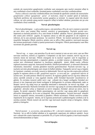 291
centrale ale neurocitelor ganglionului vestibular sunt emergente spre nucleii omonimi aflaţi în
aria vestibulară a fosei romboide, formând partea vestibulară a nervului vestibulocohlear.
Partea cohleară a nervului vestibulocohlear este formată de apofizele centrale ale neurocitelor
ganglionului cohlear (ganglionul spiral al melcului), situat în canalul spiral al melcului.
Apofizele periferice ale neurocitelor acestui ganglion se termină în organul spiral din ductul
cohlear, iar cele centrale ajung nucleii respectivi aflaţi în bulbul rahidian, proiectate aici pe aria
vestibulară a fosei romboide.
Nervul glosofaringian
Nervul glosofaringian – n.glossopharyngeus, este perechea a IX-a de nervi cranieni şi prezintă
un nerv mixt, care conţine fibre motorii, senzitive şi parasimpatice. Nucleele acestui nerv,
împreună cu nucleele perechii a X-a, sunt situate în bulbul rahidian. Nervul glosofaringian iese
din craniu prin orificiul jugular, în regiunea căruia se află doi ganglioni ai săi (superior şi
inferior), de la care porneşte porţiunea lui senzitivă. Fibrele lui motorii participă la inervaţia
muşchilor faringelui; fibrele senzitive, printre care se află şi fibre gustative, inervează mucoasa
din treimea posterioară a limbii şi partea posterioară a faringelui. Fibrele parasimpatice sunt fibre
secretoare ale glandei parotide.
Nervul vag
Nervul vag – n. vagus, este perechea X-a de nervi cranieni şi este un nerv mixt, care are fibre
nervoase senzitive, motorii şi vegetative. Comparativ cu alţi nervi cranieni, nervul vag are un
teritoriu imens de inervaţie. Fibrele emergente de la nucleul vegetativ sunt în majoritate şi
asigură inervaţia parasimpatică a organelor gâtului, a cavităţii toracice şi abdominale. Fibrele
acestui nerv eferentează impulsuri ce încetinesc palpitaţiile inimii, dilată vasele, reflector
reglează tensiunea sangvină, stenozează bronhiile, fortifică peristaltismul şi relaxează sfincterele
intestinului, intensifică secreția glandelor tractului gastrointestinal. Nucleele nervului vag şi
nucleele nervului glosofaringian sunt situate în bulbul rahidian. Topografic nervul vag se împarte
în 4 porţiuni: craniană, cervicală, toracică şi abdominală. Nervul vag iese din craniu prin orificiul
jugular în regiunea căruia se află ganglionul superior şi ceva mai jos – ganglionul inferior al
acestui nerv, de unde pornesc fibrele lui senzitive. În regiunea gâtului nervul vag trece alături de
artera carotidă comună şi vena jugulară internă, astfel formând fasciculul vasculonervos al
gâtului. În cavitatea toracică ambii nervi vagi coboară de-a lungul esofagului formând aici
plexuri şi trec împreună prin hiatul esofagian al diafragmului în cavitatea abdominală, unde se
despart: nervul vag stâng trece pe suprafaţa anterioară a stomacului, iar nervul vag drept – pe
suprafaţa posterioară. Ramurile terminale ale nervilor vagi ajung în cavitatea abdominală până la
ganglionii plexului celiac şi împreună cu nervii simpatici, formând plexuri pe artere, trec la
organe. În pereţii organelor fibrele parasimpatice ale nervilor vagi ajung până la ganglionii
plexurilor intraorganice, de la care se desprind fibre parasimpatice. Acestea inervează muşchii
netezi ai organelor interne, miocardul şi glandele ( fibrele secretoare). Fibrele senzitive conduc
impulsurile de la organele interne, de la regiunea posterioară a pahimeningelui cerebral şi de la
urechea externă. Fibrele motorii ale nervilor vagi inervează muşchii striaţi ai faringelui, vălului
palatin şi laringelui.
Nervul accesor
Nervul accesor – n. accesorius, este perechea a XI – a de nervi cranieni şi este un nerv motor.
Nucleele lui se află în bulbul rahidian şi în segmentele superioare ale măduvei spinării. Acest
nerv coboară din craniu împreună cu perechile IX şi X prin orificiul jugular şi inervează muşchii
sternocleidomastoidian şi trapez.
Nervul hipoglos
 