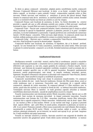 303
În derm se găsesc corpusculi nelamelari, adaptaţi pentru sensibilitatea tactilă, corpusculii
Meissner. Corpusculii Meissner sunt localizaţi în derm şi au formă ovoidală. Sunt formaţi
dintr-o capsulă ce înveleşte o parte centrală. Centrul corpusculului cuprinde celule şi fibre
nervoase. Fibrele nervoase sunt mielinice şi amielinice şi provin din plexul dermal. După
intrarea în corpuscul toate devin amielinice, se ramifică printre celulele axului central, formând
reţele ce se termină în buchet sau butoni pe celulele cu care fac sinapsa.
Corpusculii Krause sunt localizaţi de asemenea, în derm. Au formă sferoidală. La exterior
prezintă o capsulă sub care se află substanţa centrală care conţine o fibră nervoasă ramificată
terminată în reţea. Această fibră nervoasă e înconjurată de 1-2 straturi de celule turtite.
Corpusculii Vater – Paccini sunt corpusculi lamelari, foarte voluminoşi (pot fi văzuţi cu ochiul
liber), localizaţi în special în hipodermul palmelor şi plantelor, precum şi în jurul cavităţilor
articulare, la nivelul tendoanelor şi periostului. Capsula periferică este constituită din numeroase
lamele ( 20-60) dispuse concentric. Fibra nervoasă, după intrarea în corpuscul, pierde teaca de
mielină, străbate porţiunea print-o umflătură în contact cu celulele lamelare centrale.
Corpusculii Golgi – Mazzoni sunt o varietate a corpusculilor Vater-Paccini, având dimensiuni
mai mici, fiind localizaţi în special în dermul pulpei degetelor.
Corpusculii Ruffini sunt localizaţi, de asemenea, în hipoderm, dar şi în dermul profund.
Capsula lor este formată din 4-5 lame concentrice, constituite din celule turtite. Fibra nervoasă
se găseşte în centrul ţesutului conjunctiv şi se divide, formând numeroase prelungiri terminate în
butoni.
Analizatorul kinestezic
Desfăşurarea normală a activităţii motorii, analiza fină şi coordonarea precisă a mişcărilor
necesită informarea permanentă a sistemului nervos central asupra poziţiei spaţiale a corpului, a
diferitelor sale segmente şi, mai ales, asupra gradului de contracţie a fiecărui muşchi. Aceste
informaţii sunt furnizate de receptorii aparatului vestibular, receptorii vizuali şi cutanaţi, dar şi
de anumiţi receptori specifici care se află în aparatul locomotor. Receptorii analizatorului
kinestezic, numiţi proprioreceptori, sunt situaţi în muşchi, tendoane, articulaţii, periost,
ligamente. Receptorii chinestezici din periost şi articulaţii sunt corpusculii Vater-Paccini, identici
cu cei din piele. Sunt sensibili la mişcări şi modificări de presiune.
Corpusculii neurotendinoşi Golgi sunt situaţi în joncţiunea muşchi-tendon. Un corpuscul
Golgi este alcătuit din mai multe fascicule tendinoase, formate din fibre puţin dense, scurte şi
celule tendinoase mari şi numeroase. Fasciculele sunt înconjurate de o capsulă subţire
conjunctivă, căptuşită de celule musculare. În corpuscul pătrund 1-3 fibre mielinice care, la
intrare, pierd teaca de mielină şi se termină în formă de disc ce îmbracă fasciculele tendinoase.
Terminaţiile nervoase libere se ramifică în toată grosimea capsulei articulare şi transmit
sensibilitatea dureroasă articulară, cauzată de amplitudinea excesivă a mişcării.
Fusurile neuromusculare sunt desiminate printre fibrele musculare striate, faţă de care se află
în paralel. Sunt excitate de tensiunea dezvoltată în timpul contracţiei musculare. Fusurile
neuromusculare sunt formate din 5-10 fibre musculare modificate, numite fibre infuzoriale,
conţinute într-o capsulă conjunctivă. Fibrele musculare infrafuzoriale sunt de două tipuri: fibre
cu sac nuclear şi fibre cu lanţ nuclear. Fibrele cu sac nuclear sunt lungi şi groase şi prezintă
două aspecte diferite: spre polii fibrei, în zonele polare, striaţiunile se păstrează, iar nucleii se
află în şir central. Porţiunea centrală a fibrei (zona ecuatorială) este mult dilatată, fără striaţiuni,
necontractilă şi conţine 40-50 nuclei. Fibrele cu lanţ nuclear, subţiri şi scurte au calibru
uniform, păstrează striaţiunile pe tot traiectul, iar nucleii sunt aşezaţi în şir pe toată lungimea
lor. Conţin miofibrile mai puţin numeroase.
Fusurile au inervaţie senzitivă şi motorie. Inervaţia senzitivă este asigurată de dendrite ale
neuronilor senzitivi din ganglionul spinal. Unele dintre aceste terminaţii dendritice se numesc
 