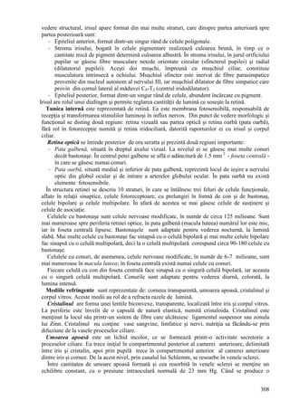 308
vedere structural, irisul apare format din mai multe straturi, care dinspre partea anterioară spre
partea posterioară sunt:
- Epiteliul anterior, format dintr-un singur rând de celule poligonale.
- Stroma irisului, bogată în celule pigmentare realizează culoarea brună, în timp ce o
cantitate mică de pigment determină culoarea albastră. În stroma irisului, în jurul orificiului
pupilar se găsesc fibre musculare netede orientate circular (sfincterul pupilei) şi radial
(dilatatorul pupilei). Aceşti doi muşchi, împreună cu muşchiul ciliar, constituie
musculatura intrinsecă a ochiului. Muşchiul sfincter este inervat de fibre parasimpatice
provenite din nucleul autonom al nervului III, iar muşchiul dilatator de fibre simpatice care
provin din cornul lateral al măduvei C8-T2 (centrul iridodilatator).
- Epiteliul posterior, format dintr-un singur rând de celule, abundent încărcate cu pigment.
Irisul are rolul unui diafragm şi permite reglarea cantităţii de lumină ce soseşte la retină.
Tunica internă este reprezentată de retină. Ea este membrana fotosensibilă, responsabilă de
recepţia şi transformarea stimulilor luminoşi în influx nervos. Din punct de vedere morfologic şi
funcţional se disting două regiuni: retina vizuală sau partea optică şi retina oarbă (pata oarbă),
fără rol în fotorecepţie numită şi retina iridociliară, datorită raporturilor ei cu irisul şi corpul
ciliar.
Retina optică se întinde posterior de ora seratta şi prezintă două regiuni importante:
- Pata galbenă, situată în dreptul axului vizual. La nivelul ei se găsesc mai multe conuri
decât bastonaşe. În centrul petei galbene se află o adâncitură de 1.5 mm 2
- foseta centrală -
în care se găsesc numai conuri.
- Pata oarbă, situată medial şi inferior de pata galbenă, reprezintă locul de ieşire a nervului
optic din globul ocular şi de intrare a arterelor globului ocular. În pata oarbă nu există
elemente fotosensibile.
În structura retinei se descriu 10 straturi, în care se întâlnesc trei feluri de celule funcţionale,
aflate în relaţii sinaptice, celule fotoreceptoare, cu prelungiri în formă de con şi de bastonaş,
celule bipolare şi celule multipolare. În afară de acestea se mai găsesc celule de susţinere şi
celule de asociaţie.
Celulele cu bastonaşe sunt celule nervoase modificate, în număr de circa 125 milioane. Sunt
mai numeroase spre periferia retinei optice, în pata galbenă (macula luteea) numărul lor este mic,
iar în foseta centrală lipsesc. Bastonaşele sunt adaptate pentru vederea nocturnă, la lumină
slabă. Mai multe celule cu bastonaşe fac sinapsă cu o celulă bipolară şi mai multe celule bipolare
fac sinapsă cu o celulă multipolară, deci la o celulă multipolară corespund circa 90-180 celule cu
bastonaşe.
Celulele cu conuri, de asemenea, celule nervoase modificate, în număr de 6-7 milioane, sunt
mai numeroase în macula luteea; în foseta centrală există numai celule cu conuri.
Fiecare celulă cu con din foseta centrală face sinapsă cu o singură celulă bipolară, iar aceasta
cu o singură celulă multipolară. Conurile sunt adaptate pentru vederea diurnă, colorată, la
lumina intensă.
Mediile refringente sunt reprezentate de: corneea transparentă, umoarea apoasă, cristalinul şi
corpul vitros. Aceste medii au rol de a refracta razele de lumină.
Cristalinul are forma unei lentile biconvexe, transparente, localizată între iris şi corpul vitros.
La periferie este învelit de o capsulă de natură elastică, numită cristaloida. Cristalinul este
menţinut la locul său printr-un sistem de fibre care alcătuiesc ligamentul suspensor sau zonula
lui Zinn. Cristalinul nu conţine vase sangvine, limfatice şi nervi, nutriţia sa făcându-se prin
difuziune de la vasele proceselor ciliare.
Umoarea apoasă este un lichid incolor, ce se formează printr-o activitate secretorie a
proceselor ciliare. Ea trece iniţial în compartimentul posterior al camerei anterioare, delimitată
între iris şi cristalin, apoi prin pupilă trece în compartimentul anterior al camerei anterioare
dintre iris şi cornee. De la acest nivel, prin canalul lui Schlemm, se resoarbe în venele sclerei.
Între cantitatea de umoare apoasă formată şi cea resorbită în venele sclerei se menţine un
echilibru constant, cu o presiune intraoculară normală de 23 mm Hg. Când se produce o
 