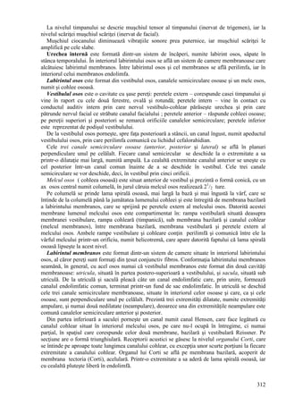 312
La nivelul timpanului se descrie muşchiul tensor al timpanului (inervat de trigemen), iar la
nivelul scăriţei muşchiul scăriţei (inervat de facial).
Muşchiul ciocanului diminuează vibraţiile sonore prea puternice, iar muşchiul scăriţei le
amplifică pe cele slabe.
Urechea internă este formată dintr-un sistem de încăperi, numite labirint osos, săpate în
stânca temporalului. În interiorul labirintului osos se află un sistem de camere membranoase care
alcătuiesc labirintul membranos. Între labirintul osos şi cel membranos se află perilimfa, iar în
interiorul celui membranos endolimfa.
Labirintul osos este format din vestibulul osos, canalele semicirculare osoase şi un melc osos,
numit şi cohlee osoasă.
Vestibulul osos este o cavitate cu şase pereţi: peretele extern – corespunde casei timpanului şi
vine în raport cu cele două ferestre, ovală şi rotundă; peretele intern – vine în contact cu
conductul auditiv intern prin care nervul vestibulo-cohlear părăseşte urechea şi prin care
pătrunde nervul facial ce străbate canalul facialului ; peretele anterior – răspunde cohleei osoase;
pe pereţii superiori şi posteriori se remarcă orificiile canalelor semicirculare; peretele inferior
este reprezentat de podişul vestibulului.
De la vestibulul osos porneşte, spre faţa posterioară a stâncii, un canal îngust, numit apeductul
vestibulului osos, prin care perilimfa comunică cu lichidul cefalorahidian.
Cele trei canale semicirculare osoase (anterior, posterior şi lateral) se află în planuri
perpendiculare unul pe celălalt. Fiecare canal semicircular se deschide la o extremitate a sa
printr-o dilataţie mai largă, numită ampulă. La cealaltă extremitate canalul anterior se uneşte cu
cel posterior într-un canal comun înainte de a se deschide în vestibul. Cele trei canale
semicirculare se vor deschide, deci, în vestibul prin cinci orificii.
Melcul osos ( cohleea osoasă) este situat anterior de vestibul şi prezintă o formă conică, cu un
ax osos central numit columelă, în jurul căruia melcul osos realizează 21
/2 ture.
Pe columelă se prinde lama spirală osoasă, mai largă la bază şi mai îngustă la vârf, care se
întinde de la columelă până la jumătatea lumenului cohleei şi este întregită de membrana bazilară
a labirintului membranos, care se sprijină pe peretele extern al melcului osos. Datorită acestei
membrane lumenul melcului osos este compartimentat în: rampa vestibulară situată deasupra
membranei vestibulare, rampa cohleară (timpanică), sub membrana bazilară şi canalul cohlear
(melcul membranos), între membrana bazilară, membrana vestibulară şi peretele extern al
melcului osos. Ambele rampe vestibulare şi cohleare conţin perilimfă şi comunică între ele la
vârful melcului printr-un orificiu, numit helicotremă, care apare datorită faptului că lama spirală
osoasă lipseşte la acest nivel.
Labirintul membranos este format dintr-un sistem de camere situate în interiorul labirintului
osos, al căror pereţi sunt formaţi din ţesut conjunctiv fibros. Conformaţia labirintului membranos
seamănă, în general, cu acel osos numai că vestibulul membranos este format din două cavităţi
membranoase: utricula, situată în partea postero-superioară a vestibulului, şi sacula, situată sub
utriculă. De la utriculă şi saculă pleacă câte un canal endolimfatic care, prin unire, formează
canalul endolimfatic comun, terminat printr-un fund de sac endolimfatic. În utriculă se deschid
cele trei canale semicirculare membranoase, situate în interiorul celor osoase şi care, ca şi cele
osoase, sunt perpendiculare unul pe celălalt. Prezintă trei extremităţi dilatate, numite extremităţi
ampulare, şi numai două nedilatate (neampulare), deoarece una din extremităţile neampulare este
comună canalelor semicirculare anterior şi posterior.
Din partea inferioară a saculei porneşte un canal numit canal Hensen, care face legătură cu
canalul cohlear situat în interiorul melcului osos, pe care nu-l ocupă în întregime, ci numai
parţial, în spaţiul care corespunde celor două membrane, bazilară şi vestibulară Reissner. Pe
secţiune are o formă triunghiulară. Receptorii acustici se găsesc la nivelul organului Corti, care
se întinde pe aproape toate lungimea canalului cohlear, cu excepţia unor scurte porţiuni la fiecare
extremitate a canalului cohlear. Organul lui Corti se află pe membrana bazilară, acoperit de
membrana tectoria (Corti), acelulară. Printr-o extremitate a sa aderă de lama spirală osoasă, iar
cu cealaltă pluteşte liberă în endolimfă.
 