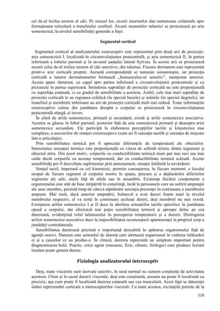 318
cel de-al treilea neuron al căii. Pe traseul lor, axonii neuronilor dau numeroase colaterale spre
formaţiunea reticulară a trunchiului cerebral. Axonii neuronilor talamici se proiectează pe aria
somestezică, la nivelul sensibilităţii generale a feţei.
Segmentul cortical
Segmentul cortical al analizatorului exteroceptiv este reprezentat prin două arii de proiecţie:
aria somestezică I, localizată în circumvoluţiunea postcentrală, şi aria somestezică II, în partea
inferioară a lobului parietal şi în tavanul şanţului lateral Sylvius. În aceste arii se proiectează
axonii celui de-al treilea neuron al căii senzitive, din talamus. Fiecare dermatom este reprezentat
printr-o arie corticală proprie. Această corespondenţă se numeşte somatotopie, iar proiecţia
corticală a tuturor dermatoamelor formează ,,homunculus-ul senzitiv”, menţionat anterior.
Acesta apare răsturnat, cu capul spre partea inferioară a circumvoluţiunii postcentrale şi cu
picioarele în partea superioară. Întinderea suprafeţei de proiecţie corticală nu este proporţională
cu suprafaţa cutanată, ci cu gradul de sensibilitate a acesteia. Astfel, cele mai mari suprafeţe de
proiecţie corticală le au regiunea cefalică (în special buzele) şi mâinile (în special degetele), iar
trunchiul şi membrele inferioare au arii de proiecţie corticală mult mai redusă. Toate informaţiile
exteroceptive culese din jumătatea dreaptă a corpului se proiectează în circumvoluţiunea
postcentrală stângă, şi invers.
În afară de ariile somestezice, primară şi secundară, există şi ariile somestezice asociative.
Acestea se găsesc în lobul parietal, posterior faţă de aria somestezică primară şi deasupra ariei
somestezice secundare. Ele participă la elaborarea percepţiilor tactile şi kinestezice mai
complexe, a asocierilor de simţuri exteroceptive (cum ari fi senzaţia tactilă şi senzaţia de mişcare
într-o articulaţie).
Prin sensibilitatea termică pot fi apreciate diferenţele de temperatură ale obiectelor.
Intensitatea senzaţiei termice este proporţională cu viteza de schimb termic dintre tegument şi
obiectul atins. Din acest motiv, corpurile cu conductibilitate termică mare par mai reci sau mai
calde decât corpurile cu aceeaşi temperatură, dar cu conductibilitate termică scăzută. Aceste
sensibilităţi pot fi dezvoltate suplimentar prin antrenament, situaţie întâlnită la nevăzători.
Simţul tactil, împreună cu cel kinestezic, permite cunoaşterea, în fiecare moment, a locului
ocupat de fiecare segment al corpului nostru în spaţiu, precum şi a deplasărilor diferitelor
segmente ale sale, unele faţă de altele sau în ansamblu. Existenţa fiecărei componente a
organismului este atât de bine întipărită în conştiinţă, încât la persoanele care au suferit amputaţii
ale unui membru, persistă timp de câteva săptămâni senzaţia prezenţei în continuare a membrului
amputat. Mai mult, dacă anterior amputării, bolnavul a avut dureri foarte mari la nivelul
membrului respectiv, el va simţi în continuare aceleaşi dureri, deşi membrul nu mai există.
Extirparea ariilor somestezice I şi II duce la abolirea senzaţiilor tactile epicritice în jumătatea
opusă a corpului, dar afectează mai puţin sensibilitatea termică şi aproape deloc pe cea
dureroasă, evidenţiind rolul talamusului în perceperea temperaturii şi a durerii. Distrugerea
ariilor somestezice asociative duce la imposibilitatea recunoaşterii apartenenţei la propriul corp a
jumătăţii contralaterale.
Sensibilitatea dureroasă prezintă o importanţă deosebită în apărarea organismului faţă de
agenţii nocivi. Durerea este semnalul de alarmă care alertează organismul în vederea înlăturării
ei şi a cauzelor ce au produs-o. În clinică, durerea reprezintă un simptom important pentru
diagnosticarea bolii. Practic, orice agent (mecanic, fizic, chimic, biologic) care produce leziuni
tisulare poate genera durere.
Fiziologia analizatorului interoceptiv
Deşi, toate viscerele sunt inervate senzitiv, în mod normal nu suntem conştienţi de activitatea
acestora. Chiar şi în cazul durerii viscerale, deşi este conştientă, aceasta nu poate fi localizată cu
precizie, aşa cum poate fi localizată durerea cutanată sau cea musculară. Acest fapt se datoreşte
slabei reprezentări corticale a interoceptorilor viscerali. Cu toate acestea, excitaţiile pornite de la
 