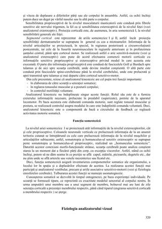 320
şi viteza de deplasare a diferitelor părţi sau ale corpului în ansamblu. Astfel, cu ochii închişi
putem duce un deget pe vârful nasului sau în altă parte a corpului.
Sensibilitatea proprioceptivă de la nivelul musculaturii masticatorii este condusă prin fibrele
senzitive ale nervului trigemen, la fel ca şi sensibilitatea exteroceptivă de la nivelul feţei (vezi
analizatorul exteroceptiv). Proiecţia corticală este, de asemenea, în aria somestezică I, la nivelul
sensibilitării generale ale feţei.
Segmentul cortical este reprezentat de ariile somestezice I şi II, astfel încât proiecţia
sensibilităţii dermatoamelor se suprapune în general cu cea a miotoamelor. Informaţia de la
nivelul articulaţiilor se proiectează, în special, în regiunea posterioară a circumvoluţiunii
postcentrale, iar cele de la fusurile neuromusculare în regiunile anterioare şi în profunzimea
şanţului central, până spre cortexul motor. Se realizează astfel o arie senzitivă-motorie (vezi şi
analizatorul exteroceptiv) care pune de acord efectuarea comenzii motorii corticale cu
informaţiile senzitive proprioceptive şi exteroceptive privind modul în care aceasta este
executată. O parte din informaţia proprioceptivă este condusă de fasciculele Goll şi Burdach spre
talamus şi de aici spre scoarţa cerebrală, unde devine imediat conştientă. O altă parte este
condusă prin fasciculele spino-cerebeloase până la nivelul cerebelului, unde este prelucrată şi
apoi transmisă spre talamus şi mai departe către cortexul senzitivo-motor.
Din cele prezentate, reiese că analizatorul kinestezic are cel puţin trei funcţii importante:
- în elaborarea de către scoarţă a senzaţiei somatice;
- în reglarea tonusului muscular şi a posturii corpului;
- în controlul motilităţii voluntare.
Analizatorul kinestezic nu îndeplineşte singur aceste funcţii. Rolul său este de a furniza
creierului informaţiile necesare, prelucrate în prealabil (superizate), pornite de la aparatul
locomotor. Pe baza acestora este elaborată comanda motorie, sunt reglate tonusul muscular şi
postura, se realizează controlul asupra modului în care este îndeplinită comanda voluntară. Deci,
analizatorul kinestezic este o componentă de bază a circuitului de feedback ce reglează
activitatea motorie somatică.
Funcţia somestezică
La nivelul ariei somestezice I se proiectează atât informaţiile de la nivelul exteroceptorilor, cât
şi cele proprioceptive. Coloanele neuronale verticale ce prelucrează informaţia de la un anumit
teritoriu cutanat se întrepătrund cu cele care prelucrează informaţia de la nivelul muşchilor şi
articulaţiilor subiacente; astfel, somatotopia şi homunculus-ul senzitiv exteroceptiv se suprapun
peste somatotopia şi homunculus-ul proprioceptiv, realizând un ,,homunculus somestezic”.
Datorită acestor conexiuni morfo-funcţionale strânse, scoarţa cerebrală poate analiza conştient
starea la un moment dat a fiecărei părţi din corp, cu excepţia viscerelor. Astfel, stând cu ochii
închişi, putem să ne dăm seama în ce poziţie se află capul, mâinile, picioarele, degetele etc., dar
nu ştim unde se află arterele sau venele mezenterice sau ficatul etc.
Deci, funcţia somestezică asigură inventarierea componentelor somatice ale organismului, a
locului lor în spaţiu şi a deplasărilor efectuate de acestea. La realizarea acestei funcţii mai
participă şi analizatorul vestibular, precum şi ariile asociative senzitivo-motorii (vezi şi fiziologia
emisferelor cerebrale). Tulburarea acestei funcţii se numeşte asomatognozie.
Cunoaşterea somatică se dezvoltă în timpul ontogenezei, pe baza experienţei individuale. Pe
scoarţă se formează tipare, ce reprezintă cu exactitate modelul senzorial al corpului nostru. În
urma amputării unui membru sau a unui segment de membru, bolnavul mai are luni de zile
senzaţia corticală a prezenţei membrului respectiv, până când tiparul (engrama senzitivă corticală
a membrului respectiv ) se şterge.
Fiziologia analizatorului vizual
 