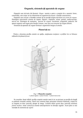 36
Organele, sistemele și aparatele de organe
Organele sunt alcгtuite din țesuturi. Organ numim o parte a corpului de o anumitг formг,
construcție, care ocupг un loc determinat оn organism și executг o funcție caracteristicг.
Organele care executг o funcюie comunг și au aceeași origine alcгtuiesc un sistem de organe.
Distingem urmгtoarele sisteme de organe: digestiv, respirator, urinar, genital, cardiovascular,
nervos etc. Distingem de asemenea aparate de organe: locomotor, urogenital, endocrin. Оn
aparat organele sunt legate prin funcție comunг, оnsг pot avea structurг și origine diferitг.
Sistemele și aparatele de organe formeazг organismul integru al omului.
Planuri și axe
Pentru a desemna poziția omului оn spațiu, amplasarea reciprocг a pгrților lui se folosesc
noțiunile de planuri și axe.
Fig. 3. Planurile corpului
1- planul sagital; 2- planul frontal; 3- planul transversal.
Se considerг drept inițialг poziția corpului omului cвnd el stг оn picioare оn poziția de drepți
cu palmele orientate оnainte. Omul este construit dupг principiul simetriei bilaterale, corpul lui
se оmparte оn douг jumгtгți, dreaptг și stвngг. Limitele dintre aceste douг jumгtгți constituie
planul median, situat vertical și orientat anteroposterior оn direcție sagitalг. Acest plan se mai
numește de asemenea și sagital.
 