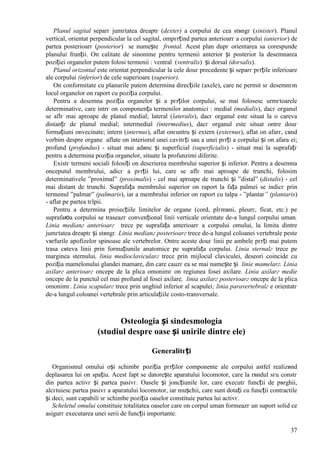 37
Planul sagital separг jumгtatea dreaptг (dexter) a corpului de cea stвngг (sinister). Planul
vertical, orientat perpendicular la cel sagital, оmpгrțind partea anterioarг a corpului (anterior) de
partea posterioarг (posterior) se numește frontal. Acest plan dupг orientarea sa corespunde
planului frunții. Оn calitate de sinonime pentru termenii anterior și posterior la desemnarea
poziției organelor putem folosi termenii : ventral (ventralis) și dorsal (dorsalis).
Planul orizontal este orientat perpendicular la cele douг precedente și separг pгrțile inferioare
ale corpului (inferior) de cele superioare (superior).
Оn conformitate cu planurile putem determina direcțiile (axele), care ne permit sг desemnгm
locul organelor оn raport cu poziția corpului.
Pentru a desemna poziția organelor și a pгrților corpului, se mai folosesc urmгtoarele
determinative, care intrг оn componența termenilor anatomici : medial (medialis), dacг organul
se aflг mai aproape de planul medial; lateral (lateralis), dacг organul este situat la o careva
distanțг de planul medial; intermedial (intermedius), dacг organul este situat оntre douг
formațiuni оnvecinate; intern (internus), aflat оnгuntru și extern (externus), aflat оn afarг, cвnd
vorbim despre organe aflate оn interiorul unei cavitгți sau a unei pгrți a corpului și оn afara ei;
profund (profundus) - situat mai adвnc și superficial (superficialis) - situat mai la suprafațг
pentru a determina poziția organelor, situate la profunzimi diferite.
Existг termeni sociali folosiți оn descrierea membrului superior și inferior. Pentru a desemna
оnceputul membrului, adicг a pгrții lui, care se aflг mai aproape de trunchi, folosim
determinativele ”proximal” (proximalis) - cel mai aproape de trunchi și ”distal” (distalis) - cel
mai distant de trunchi. Suprafața membrului superior оn raport la fața palmei se indicг prin
termenul ”palmar” (palmaris), iar a membrului inferior оn raport cu talpa - ”plantar” (plantaris)
- aflat pe partea tгlpii.
Pentru a determina proiecțiile limitelor de organe (cord, plгmвni, pleurг, ficat, etc.) pe
suprafaюa corpului se traseazг convențional linii verticale orientate de-a lungul corpului uman.
Linia medianг anterioarг trece pe suprafața anterioarг a corpului omului, la limita dintre
jumгtatea dreaptг și stвngг. Linia medianг posterioarг trece de-a lungul coloanei vertebrale peste
vвrfurile apofizelor spinoase ale vertebrelor. Оntre aceste douг linii pe ambele pгrți mai putem
trasa cвteva linii prin formațiunile anatomice pe suprafața corpului. Linia sternalг trece pe
marginea sternului, linia medioclavicularг trece prin mijlocul claviculei, deseori coincide cu
poziția mamelonului glandei mamare, din care cauzг ea se mai numește și linie mamelarг. Linia
axilarг anterioarг оncepe de la plica omonimг оn regiunea fosei axilare. Linia axilarг medie
оncepe de la punctul cel mai profund al fosei axilare, linia axilarг posterioarг оncepe de la plica
omonimг. Linia scapularг trece prin unghiul inferior al scapulei; linia paravertebralг e orientatг
de-a lungul coloanei vertebrale prin articulațiile costo-transversale.
Osteologia și sindesmologia
(studiul despre oase și unirile dintre ele)
Generalitгți
Organismul omului оși schimbг poziția pгrților componente ale corpului astfel realizвnd
deplasarea lui оn spațiu. Acest fapt se datorește aparatului locomotor, care la rвndul sгu constг
din partea activг și partea pasivг. Oasele și joncțiunile lor, care executг funcții de pвrghii,
alcгtuiesc partea pasivг a aparatului locomotor, iar mușchii, care sunt dotați cu funcții contractile
și deci, sunt capabili sг schimbe poziția oaselor constituie partea lui activг.
Scheletul omului constituie totalitatea oaselor care оn corpul uman formeazг un suport solid ce
asigurг executarea unei serii de funcții importante.
 