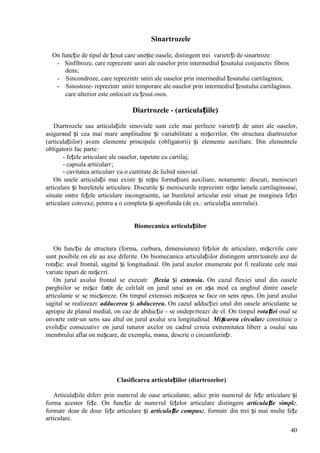 40
Sinartrozele
Оn funcție de tipul de țesut care unește oasele, distingem trei varietгți de sinartroze:
- Sinfibroze, care reprezintг uniri ale oaselor prin intermediul țesutului conjunctiv fibros
dens;
- Sincondroze, care reprezintг uniri ale oaselor prin intermediul țesutului cartilaginos;
- Sinostoze- reprezintг uniri temporare ale oaselor prin intermediul țesutului cartilaginos.
care ulterior este оnlocuit cu țesut osos.
Diartrozele - (articulațiile)
Diartrozele sau articulațiile sinoviale sunt cele mai perfecte varietгți de uniri ale oaselor,
asigurвnd și cea mai mare amplitudine și variabilitate a mișcгrilor. Оn structura diartrozelor
(articulațiilor) avem elemente principale (obligatorii) și elemente auxiliare. Din elementele
obligatorii fac parte:
- fețele articulare ale oaselor, tapetate cu cartilaj;
- capsula articularг;
- cavitatea articularг cu o cantitate de lichid sinovial.
Оn unele articulații mai existг și niște formațiuni auxiliare, notamente: discuri, meniscuri
articulare și bureletele articulare. Discurile și meniscurile reprezintг niște lamele cartilaginoase,
situate оntre fețele articulare incongruente, iar bureletul articular este situat pe marginea feței
articulare convexe, pentru a o completa și aprofunda (de ex.: articulația umгrului).
Biomecanica articulațiilor
Оn funcție de structura (forma, curbura, dimensiunea) fețelor de articulare, mișcгrile care
sunt posibile оn ele au axe diferite. Оn biomecanica articulațiilor distingem urmгtoarele axe de
rotație: axul frontal, sagital și longitudinal. Оn jurul axelor enumerate pot fi realizate cele mai
variate tipuri de mișcгri.
Оn jurul axului frontal se executг flexia și extensia. Оn cazul flexiei unul din oasele
pвrghiilor se mișcг faюг de celгlalt оn jurul unui ax оn așa mod ca unghiul dintre oasele
articulante sг se micșoreze. Оn timpul extensiei mișcarea se face оn sens opus. Оn jurul axului
sagital se realizeazг adducerea și abducerea. Оn cazul adducției unul din oasele articulante se
apropie de planul medial, оn caz de abducție - se оndepгrteazг de el. Оn timpul rotației osul se
оnvвrte оntr-un sens sau altul оn jurul axului sгu longitudinal. Mișcarea circularг constituie o
evoluție consecutivг оn jurul tuturor axelor оn cadrul cгreia extremitatea liberг a osului sau
membrului aflat оn mișcare, de exemplu, mвna, descrie o circumferințг.
Clasificarea articulațiilor (diartrozelor)
Articulațiile diferг prin numгrul de oase articulante, adicг prin numгrul de fețe articulare și
forma acestor fețe. Оn funcție de numгrul fețelor articulare distingem articulație simplг,
formatг doar de douг fețe articulare și articulație compusг, formatг din trei și mai multe fețe
articulare.
 