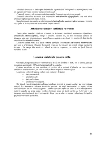 46
Procesele spinoase se unesc prin intermediul ligamentelor interspinale єi supraspinale, care
оn regiunea cervicalг continuг cu ligamentul nucal.
Procesele transversale se unesc prin intermediul ligamentelor intertransversale.
Procesele articulare se unesc prin intermediul articulaюiilor zigapofiziale, care sunt niєte
articulaюii plane cu mobilitatea redusг.
Sacrul se uneєte cu coccigele prin intermediul articulaюiei sacrococcigiene ceea ce-i permite
coccigelui sг se deplaseze оn posterior оn timpul naєterii.
Articulaюiile coloanei vertebrale cu craniul
Оntre prima vertebrг cervicalг єi craniu se formeazг articulaюii combinate elipsoidale-
articulaюia atlantooccipitalг, stвngг єi dreaptг. Datoritг lor, are loc оnclinarea capului оn
direcюie anterioarг єi posterioarг ( anteroflexia, exprimarea aprobгrii ) єi оnclinгrile laterale ale
capului (adducюia єi abducюia ).
La unirea dintre prima єi a doua vertebrг cervicalг se formeazг articulaюia atlantoaxialг,
care este o articulaюie cilindricг la nivelul cгreia au loc miєcгri ce permit rotirea capului la
dreapta єi la stвnga. Оn acest caz, atlasul se roteєte оmpreunг cu craniul оn jurul dintelui
vertebrei axiale.
Coloana vertebralг оn ansamblu
Оn medie, lungimea coloanei vertebrale este de 73 cm la bгrbat єi de 63 cm la femeie, ceea ce
reprezintг aproximativ 40 % din lungimea totalг a corpului.
Coloana vertebralг nu este rectilinie, ci prezintг niєte curburi. Curburile cu convexitatea
оnainte se numesc lordoze, iar cele cu convexitatea оnapoi se numesc cifoze.
La coloana vertebralг aceste curburi sunt оn numгr de patru:
 lordoza cervicalг;
 cifoza toracalг;
 lordoza lombarг;
 cifoza sacrococcigianг.
Оn timpul vieюii intrauterine coloana vertebralг prezintг o singurг curburг cu convexitatea
оnapoi. La nou-nгscut coloana vertebralг prezintг un ungi lombosacral ce separг cifoza
cervicotoracalг de cea sacrococcigianг. Lordoza cervicalг apare оn lunile 3-5 єi este rezultatul
ridicгrii capului de cгtre sugar. Lordoza lombarг apare оn jurul vвrstei de 1,5-2 ani єi se
datoreazг staюiunii verticale єi locomoюiei. Dupг cum se observг, aceste curburi sunt dobвndite
pe parcursul vieюii postnatale.
 