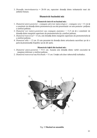 61
3. Distanția intertrohanterica = 28-30 cm, reprezintг distanța dintre trohanterele mari ale
ambelor femure.
Diametrele bazinului mic
Diametrele intrгrii оn bazinul mic:
1. Diametrul antero-posterior - conjugata adevгratг (ginecologicг) - conjugata vera = 11 cm și
e constituitг de distanța dintre promontoriu și cea mai proeminentг оn sens posterior porțiune
a simfizei pubiene.
2. Diametrul rect (antero-posterior) sau conjugata anatomicг = 11,5 cm și e constituitг de
distanța dintre marginile superioare ale promontoriului și a simfizei pubiene.
3. Diametrul transversal = 13 cm, este distanța dintre marginile superioare ale promontoriului și
a simfizei pubiene.
4. Diametrul oblic = 12 cm. El este prezentat de distanța dintre articulaюia sacroiliacг pe de o
parte și proeminența iliopubicг pe de altг parte.
Diametrele ieșirii din bazinul mic:
1. Diametrul antero-posterior = 9-11 cm. Aceasta este distanța dintre vвrful coccisului și
marginea inferioarг a simfizei pubiene.
2. Diametrul transversal sau biischiadic = 11 cm. Unește cele douг tuberozitгți ischiadice.
Fig. 15 Bazinul оn ansamblu
 
