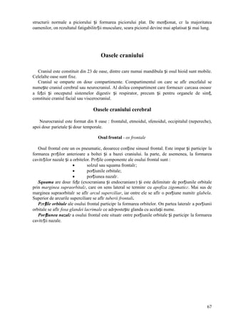 67
structurii normale a piciorului și formarea piciorului plat. De menționat, cг la majoritatea
oamenilor, оn rezultatul fatigabilitгții musculare, seara piciorul devine mai aplatisat și mai lung.
Oasele craniului
Craniul este constituit din 23 de oase, dintre care numai mandibula și osul hioid sunt mobile.
Celelalte oase sunt fixe.
Craniul se оmparte оn douг compartimente. Compartimentul оn care se aflг encefalul se
numește craniul cerebral sau neurocraniul. Al doilea compartiment care formeazг carcasa osoasг
a feței și оnceputul sistemelor digestiv și respirator, precum și pentru organele de simț,
constituie craniul facial sau viscerocraniul.
Oasele craniului cerebral
Neurocraniul este format din 8 oase : frontalul, etmoidul, sfenoidul, occipitalul (nepereche),
apoi douг parietale și douг temporale.
Osul frontal - os frontale
Osul frontal este un os pneumatic, deoarece conține sinusul frontal. Este impar și participг la
formarea pгrților anterioare a boltei și a bazei craniului. Ia parte, de asemenea, la formarea
cavitгților nazale și a orbitelor. Pгrțile componente ale osului frontal sunt :
 solzul sau squama frontalг;
 porțiunile orbitale;
 porțiunea nazalг.
Squama are douг fețe (exocraniana și endocranianг) și este delimitatг de porțiunile orbitale
prin marginea supraorbitalг, care оn sens lateral se terminг cu apofiza zigomaticг. Mai sus de
marginea supraorbitalг se aflг arcul superciliar, iar оntre ele se aflг o porțiune numitг glabela.
Superior de arcurile superciliare se aflг tuberii frontali.
Pгrțile orbitale ale osului frontal participг la formarea orbitelor. Оn partea lateralг a porțiunii
orbitale se aflг fosa glandei lacrimale ce adгpostește glanda cu același nume.
Porțiunea nazalг a osului frontal este situatг оntre porțiunile orbitale și participг la formarea
cavitгții nazale.
 