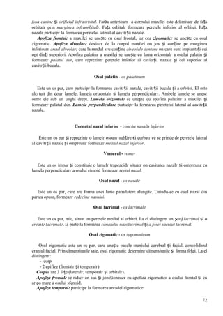 72
fosa caninг și orificiul infraorbital. Faюa anterioarг a corpului maxilei este delimitatг de fața
orbitalг prin marginea infraorbitalг. Fața orbitalг formeazг peretele inferior al orbitei. Fața
nazalг participг la formarea peretelui lateral al cavitгții nazale.
Apofiza frontalг a maxilei se unește cu osul frontal, iar cea zigomaticг se unește cu osul
zigomatic. Apofiza alveolarг deviazг de la corpul maxilei оn jos și conține pe marginea
inferioarг arcul alveolar, care la rвndul sгu conține alveolele dentare оn care sunt implantați cei
opt dinți superiori. Apofiza palatinг a maxilei se unește cu lama orizontalг a osului palatin și
formeazг palatul dur, care reprezintг peretele inferior al cavitгții nazale și cel superior al
cavitгții bucale.
Osul palatin - os palatinum
Este un os par, care participг la formarea cavitгții nazale, cavitгții bucale și a orbitei. El este
alcгtuit din douг lamele: lamela orizontalг și lamela perpendicularг. Ambele lamele se unesc
оntre ele sub un unghi drept. Lamela orizontalг se unește cu apofiza palatinг a maxilei și
formeazг palatul dur. Lamela perpendicularг participг la formarea peretelui lateral al cavitгții
nazale.
Cornetul nazal inferior - concha nasalis inferior
Este un os par și reprezintг o lamelг osoasг subțire єi curbatг ce se prinde de peretele lateral
al cavitгții nazale și оmpreunг formeazг meatul nazal inferior.
Vomerul - vomer
Este un os impar și constituie o lamelг trapezoidг situatг оn cavitatea nazalг și оmpreunг cu
lamela perpendicularг a osului etmoid formeazг septul nazal.
Osul nazal - os nasale
Este un os par, care are forma unei lame patrulatere alungite. Unindu-se cu osul nazal din
partea opusг, formeazг rгdгcina nasului.
Osul lacrimal - os lacrimale
Este un os par, mic, situat оn peretele medial al orbitei. La el distingem un șanț lacrimal și o
creastг lacrimalг. Ia parte la formarea canalului nazolacrimal și a fosei sacului lacrimal.
Osul zigomatic - os zygomaticum
Osul zigomatic este un os par, care unește oasele craniului cerebral și facial, consolidвnd
craniul facial. Prin dimensiunile sale, osul zigomatic determinг dimensiunile și forma feței. La el
distingem:
- corp
- 2 epifize (frontalг și temporalг)
Corpul are 3 fețe (lateralг, temporalг și orbitalг).
Apofiza frontalг se ridicг оn sus și joncționeazг cu apofiza zigomaticг a osului frontal și cu
aripa mare a osului sfenoid.
Apofiza temporalг participг la formarea arcadei zigomatice.
 
