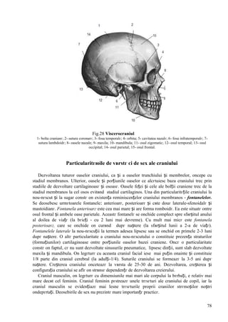 78
Fig.28 Viscerocraniul
1- bolta cranianг; 2- sutura coronarг; 3- fosa temporalг; 4- orbita; 5- cavitatea nazalг; 6- fosa infratemporalг; 7-
sutura lambdoidг; 8- oasele nazale; 9- maxila; 10- mandibula; 11- osul zigomatic; 12- osul temporal; 13- osul
occipital; 14- osul parietal; 15- osul frontal.
Particularitгюile de vвrstг єi de sex ale craniului
Dezvoltarea tuturor oaselor craniului, ca și a oaselor trunchiului și membrelor, оncepe cu
stadiul membranos. Ulterior, oasele și porțiunile oaselor ce alcгtuiesc baza craniului trec prin
stadiile de dezvoltare cartilaginoasг și osoasг. Oasele feței și cele ale bolții craniene trec de la
stadiul membranos la cel osos evitвnd stadiul cartilaginos. Una din particularitгțile craniului la
nou-nгscut și la sugar constг оn existența reminiscențelor craniului membranos - fontanelelor.
Se deosebesc urmгtoarele fontanele: anterioarг, posterioarг și cвte douг laterale-sfenoidalг și
mastoidianг. Fontanela anterioarг este cea mai mare și are forma romboidг. Ea este situatг оntre
osul frontal și ambele oase parietale. Aceastг fontanelг se оnchide complect spre sfвrșitul anului
al doilea de viațг (la bгieți - cu 2 luni mai devreme). Cu mult mai micг este fontanela
posterioarг, care se оnchide оn curвnd dupг naștere (la sfвrșitul lunii a 2-a de viațг).
Fontanelele laterale la nou-nгscuții la termen adesea lipsesc sau se оnchid оn primele 2-3 luni
dupг naștere. O altг particularitate a craniului nou-nгscutului o constituie prezența straturilor
(formațiunilor) cartilaginoase оntre porțiunile oaselor bazei craniene. Оncг o particularitate
constг оn faptul, cг nu sunt dezvoltate sinusurile pneumatice, lipsesc dinții, sunt slab dezvoltate
maxila și mandibula. Оn legгturг cu aceasta craniul facial iese mai puțin оnainte și constituie
1/8 parte din craniul cerebral (la adulți-1/4). Suturile craniului se formeazг la 3-5 ani dupг
naștere. Creșterea craniului оnceteazг la vвrsta de 25-30 de ani. Dezvoltarea, creșterea și
configurația craniului se aflг оn strвnsг dependențг de dezvoltarea creierului.
Craniul masculin, оn legгturг cu dimensiunile mai mari ale corpului la bгrbați, e relativ mai
mare decвt cel feminin. Craniul feminin pгstreazг unele trгsгturi ale craniului de copil, iar la
craniul masculin se evidențiazг mai lesne trгsгturile proprii craniilor strгmoșilor noștri
оndepгrtați. Deosebirile de sex nu prezintг mare importanțг practicг.
 