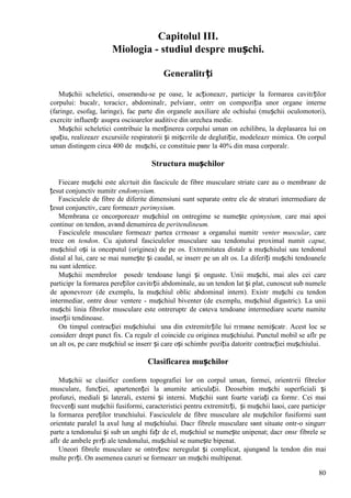 80
Capitolul III.
Miologia - studiul despre mușchi.
Generalitгți
Mușchii scheletici, оnserвndu-se pe oase, le acționeazг, participг la formarea cavitгților
corpului: bucalг, toracicг, abdominalг, pelvianг, оntrг оn compoziția unor organe interne
(faringe, esofag, laringe), fac parte din organele auxiliare ale ochiului (mușchii oculomotori),
exercitг influențг asupra oscioarelor auditive din urechea medie.
Mușchii scheletici contribuie la menținerea corpului uman оn echilibru, la deplasarea lui оn
spațiu, realizeazг excursiile respiratorii și mișcгrile de deglutiție, modeleazг mimica. Оn corpul
uman distingem circa 400 de mușchi, ce constituie pвnг la 40% din masa corporalг.
Structura mușchilor
Fiecare mușchi este alcгtuit din fascicule de fibre musculare striate care au o membranг de
țesut conjunctiv numitг endomysium.
Fasciculele de fibre de diferite dimensiuni sunt separate оntre ele de straturi intermediare de
țesut conjunctiv, care formeazг perimysium.
Membrana ce оncorporeazг mușchiul оn оntregime se numește epimysium, care mai apoi
continuг оn tendon, avвnd denumirea de peritendineum.
Fasciculele musculare formeazг partea cгrnoasг a organului numitг venter muscular, care
trece оn tendon. Cu ajutorul fasciculelor musculare sau tendonului proximal numit caput,
mușchiul оși ia оnceputul (originea) de pe os. Extremitatea distalг a mușchiului sau tendonul
distal al lui, care se mai numește și caudal, se inserг pe un alt os. La diferiți mușchi tendoanele
nu sunt identice.
Mușchii membrelor posedг tendoane lungi și оnguste. Unii mușchi, mai ales cei care
participг la formarea pereților cavitгții abdominale, au un tendon lat și plat, cunoscut sub numele
de aponevrozг (de exemplu, la mușchiul oblic abdominal intern). Existг mușchi cu tendon
intermediar, оntre douг ventere - mușchiul biventer (de exemplu, mușchiul digastric). La unii
mușchi linia fibrelor musculare este оntreruptг de cвteva tendoane intermediare scurte numite
inserții tendinoase.
Оn timpul contracției mușchiului una din extremitгțile lui rгmвne nemișcatг. Acest loc se
considerг drept punct fix. Ca regulг el coincide cu originea mușchiului. Punctul mobil se aflг pe
un alt os, pe care mușchiul se inserг și care оși schimbг poziția datoritг contracției mușchiului.
Clasificarea mușchilor
Mușchii se clasificг conform topografiei lor оn corpul uman, formei, orientгrii fibrelor
musculare, funcției, apartenenței la anumite articulații. Deosebim mușchi superficiali și
profunzi, mediali și laterali, externi și interni. Mușchii sunt foarte variați ca formг. Cei mai
frecvenți sunt mușchii fusiformi, caracteristici pentru extremitгți, și mușchii laюi, care participг
la formarea pereților trunchiului. Fasciculele de fibre musculare ale mușchilor fusiformi sunt
orientate paralel la axul lung al mușchiului. Dacг fibrele musculare sвnt situate оntr-o singurг
parte a tendonului și sub un unghi fațг de el, mușchiul se numește unipenat; dacг оnsг fibrele se
aflг de ambele pгrți ale tendonului, mușchiul se numește bipenat.
Uneori fibrele musculare se оntrețesc neregulat și complicat, ajungвnd la tendon din mai
multe pгrți. Оn asemenea cazuri se formeazг un mușchi multipenat.
 