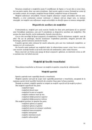 81
Structura complicatг a mușchilor poate fi condiționatг de faptul, cг la unii din ei existг douг,
trei sau patru capete, douг sau cвteva tendoane. Apoi aceste capete se unesc formвnd un venter și
un tendon comun, de exemplu, mușchiul biceps brahial, mușchiul triceps al femurului.
Mușchii acționeazг articulațiile. Fiecare mușchi acționeazг asupra articulației оntr-un sens.
Mușchii, a cгror contractare comunг realizeazг o mișcare оntr-un singur sens, se numesc
sinergiști, iar mușchii care acționeazг asupra articulației оn direcții opuse se numesc antagoniști.
Dispozitivele auxiliare ale mușchilor
Contractвndu-se, mușchii pot sa-și exercite funcția lor doar prin participarea și cu ajutorul
unor formațiuni anatomice, care pot fi considerate ca dispozitive auxiliare ale mușchilor. Din
acestea fac parte fasciile, tecile tendoanelor, bursele sinoviale ș.a.
Fascia este оnvelișul de țesut conjunctiv al mușchiului. Fasciile delimiteazг mușchii unul de
altul. Оn caz de patologie, fasciile localizeazг rгspвndirea puroiului, sвngelui provenit din
hemoragie, permit realizarea anesteziei locale.
Canalele apгrute оntre retinacul și oasele adiacente, prin care trec tendoanele mușchilor, se
numesc teci ale tendoanelor.
Оn locurile unde tendonul sau mușchiul aderг la tuberozitatea osoasг existг burse sinoviale,
care executг aceleași funcții ca și tecile sinoviale ale tendoanelor, adicг reduc frecarea.
Bursa sinovialг are forma unei pungi de țesut conjunctiv aplatizat, оn interiorul cгreia se aflг
o cantitate micг de lichid sinovial.
Mușchii și fasciile trunchiului
Musculatura trunchiului se divizeazг оn mușchi ai spatelui, toracelui și abdomenului.
Mușchii spatelui
Spatele cuprinde toatг suprafața dorsalг a trunchiului.
Mușchii spatelui sunt pari și ocupг toatг suprafața posterioarг a trunchiului, оncepвnd de la
regiunea sacralг și de la pгrțile limitrofe ale crestelor iliace pвnг la baza craniului.
Dispuși оn straturi, mușchii spatelui se оmpart оn mușchi superficiali și mușchi profunzi.
Din mușchii superficiali fac parte:
- mușchiul trapez
- mușchiul dorsal mare
- mușchiul levator al scapulei
- mușchii romboizi mare și mic
- mușchiul dințat posterior superior
- mușchiul dințat posterior inferior
Din mușchii profunzi ai spatelui fac parte:
- mușchiul spleniu al capului
- mușchiul spleniu al gвtului
- mușchiul erector al coloanei vertebrale
- mușchiul transversospinal
- mușchii interspinali
- mușchii intertransversali
- mușchii suboccipitali
 