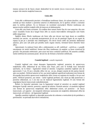 88
(tunica seroasг) și de fascia situatг dedesubtul lui și numitг fascia transversalг, deoarece ea
acoperг din interior mușchiul transvers.
Linia albг
Linia albг a abdomenului prezintг o formațiune tendinoasг densг, de culoare deschisг, care se
оntinde pe linia medianг a peretelui anterior al abdomenului, de la apofiza xifoidг a sternului
pвnг la simfiza pubianг. Ea se formeazг оn rezultatul оncrucișгrii fibrelor tendinoase ale
aponevrozelor ambilor mușchi oblic și transvers al abdomenului.
Linia albг este foarte rezistentг. Ea conține doar ramuri foarte fine de vase sangvine, din care
cauzг rezecțiile fгcute de-a lungul liniei albe cu ocazia intervențiilor chirurgicale sunt foarte
puțin sвngeroase.
Spațiile dintre fibrele tendinoase ale liniei albe pot deveni mai largi decвt оn condițiile
normale (оn sarcinг, оn perioada postoperatorie și оn caz de patologii legate de un regim de
repaus la pat pe o perioadг mai оndelungatг). Ele devin locuri slabe ale peretelui abdominal
anterior, prin care sub piele pot prolaba unele organe interne, formвnd hernii (herniile liniei
albe).
Aproximativ la mijlocul liniei albe a abdomenului se aflг ombilicul - umbilicus, o gropițг
оnconjuratг de inelul ombilical, format din fibre tendinoase, și umplutг cu țesut cicatriceal și
grгsime. Оn perioada embrionarг, prin acest inel trece cordonul ombilical. Оn anumite condiții,
inelul ombilical de asemenea poate deveni loc de formare a herniilor ombilicale.
Canalul inghinal - canalis inquinalis
Canalul inghinal este situat deasupra ligamentului inghinal, posterior de aponevroza
mușchiului oblic abdominal și are forma unei fisuri, prin care la bгrbați trece funiculul
spermatic, iar la femei - ligamentul rotund al uterului. Lungimea canalului inghinal este de
aproximativ 5 cm. El are o direcție oblicг de sus оn jos, dinapoi оnainte și din partea lateralг
spre cea medialг. Orificiul anterior al lui, sau inelul inghinal superficial (subcutan) este format de
divergența fasciculelor aponevrozei mușchiului oblic extern оn regiunea de inserție a lor pe osul
pubis. Orificiul posterior, sau intern - inelul inghinal profund, este situat pe fața posterioarг a
peretelui abdominal, cu 2 cm mai sus de mijlocul ligamentului inghinal. El este format din
оngroșarea fasciei transversale endoabdominale.
Relativ la funiculul spermatic (sau la ligamentul rotund al uterului) оn canalul inghinal
distingem 4 pereți: anterior, posterior, superior și inferior. Peretele anterior al canalului inghinal
este format de aponevroza mușchiului oblic abdominal extern, cel posterior - de fascia
transversalг, cel superior - de marginile inferioare neоnserate ale mușchilor abdominali oblici și
transversal, cel inferior - de ligamentul inghinal.
Apariția canalului inghinal se datorește procesului de coborвre a testiculului și de prolabare a
peritoneului оn perioada dezvoltгrii intrauterine.
 
