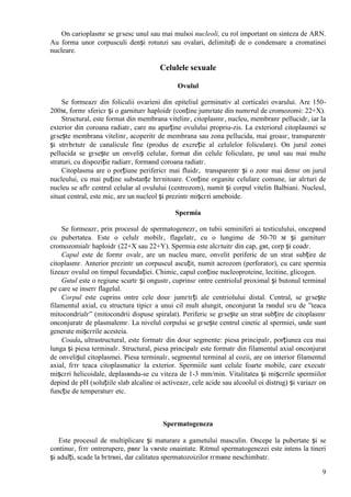 9
Оn carioplasmг se gгsesc unul sau mai mulюi nucleoli, cu rol important оn sinteza de ARN.
Au forma unor corpusculi denși rotunzi sau ovalari, delimitați de o condensare a cromatinei
nucleare.
Celulele sexuale
Ovulul
Se formeazг din foliculii ovarieni din epiteliul germinativ al corticalei ovarului. Are 150-
200м, formг sfericг și o garniturг haploidг (conține jumгtate din numгrul de cromozomi: 22+X).
Structural, este format din membrana vitelinг, citoplasmг, nucleu, membranг pellucidг, iar la
exterior din coroana radiatг, care nu aparține ovulului propriu-zis. La exteriorul citoplasmei se
gгsește membrana vitelinг, acoperitг de membrana sau zona pellucida, mai groasг, transparentг
și strгbгtutг de canalicule fine (produs de excreție al celulelor foliculare). Оn jurul zonei
pellucida se gгsește un оnveliș celular, format din celule foliculare, pe unul sau mai multe
straturi, cu dispoziție radiarг, formвnd coroana radiatг.
Citoplasma are o porțiune perifericг mai fluidг, transparentг și o zonг mai densг оn jurul
nucleului, cu mai puține substanțe hrгnitoare. Conține organite celulare comune, iar alгturi de
nucleu se aflг centrul celular al ovulului (centrozom), numit și corpul vitelin Balbiani. Nucleul,
situat central, este mic, are un nucleol și prezintг mișcгri ameboide.
Spermia
Se formeazг, prin procesul de spermatogenezг, оn tubii seminiferi ai testiculului, оncepвnd
cu pubertatea. Este o celulг mobilг, flagelatг, cu o lungime de 50-70 м și garniturг
cromozomialг haploidг (22+X sau 22+Y). Spermia este alcгtuitг din cap, gвt, corp și coadг.
Capul este de formг ovalг, are un nucleu mare, оnvelit periferic de un strat subțire de
citoplasmг. Anterior prezintг un corpuscul ascuțit, numit acrozom (perforator), cu care spermia
lizeazг ovulul оn timpul fecundației. Chimic, capul conține nucleoproteine, lecitine, glicogen.
Gвtul este o regiune scurtг și оngustг, cuprinsг оntre centriolul proximal și butonul terminal
pe care se inserг flagelul.
Corpul este cuprins оntre cele douг jumгtгți ale centriolului distal. Central, se gгsește
filamentul axial, cu structura tipicг a unui cil mult alungit, оnconjurat la rвndul sгu de ”teaca
mitocondrialг” (mitocondrii dispuse spiralat). Periferic se gгsește un strat subțire de citoplasmг
оnconjuratг de plasmalemг. La nivelul corpului se gгsește centrul cinetic al spermiei, unde sunt
generate mișcгrile acesteia.
Coada, ultrastructural, este formatг din douг segmente: piesa principalг, porțiunea cea mai
lunga și piesa terminalг. Structural, piesa principalг este formatг din filamentul axial оnconjurat
de оnvelișul citoplasmei. Piesa terminalг, segmentul terminal al cozii, are оn interior filamentul
axial, fгrг teaca citoplasmaticг la exterior. Spermiile sunt celule foarte mobile, care executг
mișcгri helicoidale, deplasвndu-se cu viteza de 1-3 mm/min. Vitalitatea și mișcгrile spermiilor
depind de pH (soluțiile slab alcaline оi activeazг, cele acide sau alcoolul оi distrug) și variazг оn
funcție de temperaturг etc.
Spermatogeneza
Este procesul de multiplicare și maturare a gametului masculin. Оncepe la pubertate și se
continuг, fгrг оntrerupere, pвnг la vвrste оnaintate. Ritmul spermatogenezei este intens la tineri
și adulți, scade la bгtrвni, dar calitatea spermatozoizilor rгmвne neschimbatг.
 