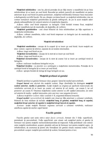 90
Mușchiul milohioideu - este lat, plat și pornește de pe fața internг a mandibulei de pe linia
milohioidianг și se inserг pe osul hioid. Racordat pe ambele jumгtгți ale mandibulei оn partea
anterioarг și pe osul hioid оn partea posterioarг, mușchiul milohioideu formeazг baza muscularг
a diafragmului cavitгții bucale. De sus, dinspre cavitatea bucalг cu mușchiul milohioideu vine оn
contact nemijlocit mușchiul geniohioideu și glanda sublingvalг, de jos la acest mușchi aderг
glanda submandibularг și venterul anterior al mușchiului digastric.
Acțiune: ridicг osul hioid оmpreunг cu laringele. Cвnd hioidul rгmвne fixat, mușchiul
coboarг mandibula (act de masticație, de deglutiție, de vorbire).
Mușchiul geniohioideu - este situat bilateral de linia milohioidianг pe fața superioarг a
mușchiului milohioideu.
Acțiune: coboarг mandibula, ridicг osul hioid оmpreunг cu laringele (act de masticație, de
deglutiție, de vorbire).
Mușchii infrahioidieni
Mușchiul omohioideu - оncepe de la scapulг și se inserг pe osul hioid. Acest mușchi are
douг ventere: superior și inferior, separate de un tendon intermediar.
Acțiune: trage osul hioid оn jos.
Mușchiul sternohioideu - оncepe de la stern și se inserг pe osul hioid.
Acțiune: trage osul hioid оn jos.
Mușchiul sternotiroideu - оncepe de la stern și coasta I și se inserг pe cartilajul tiroid al
laringelui.
Acțiune: realizeazг tracțiunea laringelui оn jos.
Mușchiul tiroideu - se prezintг ca o prelungire a mușchiului sternotiroideu. Pornește de la
cartilajul tiroid al laringelui și se inserг pe osul hioid.
Acțiune: apropie hioidul de laringe și trage laringele оn sus.
Mușchii profunzi ai gвtului
Mușchii profunzi ai gвtului formeazг douг grupuri: lateral și medial (prevertebral).
Grupul lateral este alcгtuit din mușchii scaleni. Dupг distribuția lor distingem mușchii
scaleni anterior, mediu și posterior. Acești mușchi au originea pe apofizele transversale ale
vertebrelor cervicale și se inserг pe coaste: cel anterior și cel mediu - pe coasta I, iar cel
posterior- pe coasta II. Оnaintea mușchiului scalen anterior se aflг spațiul antescalen, iar оntre
cel anterior єi mediu - spațiul interscalen, prin care trec vase sanguine și nervi.
Acțiunea mușchilor scaleni: ridicг coastele I- II, asigurвnd dilatarea toracelui.
Grupul medial ( prevertebral) de mușchi este situat pe fața anterioarг a coloanei vertebrale,
bilateral de linia medianг și include: mușchiul lung al gвtului, mușchiul lung al capului,
mușchiul drept anterior al capului și mușchiul drept lateral al capului.
Acюiune: acești mușchi flecteazг regiunea cervicalг a coloanei vertebrale, realizeazг
anteflexia capului și оnclinг capul lateral.
Fasciile gвtului
Fasciile gвtului sunt unite оntr-o unicг fascie cervicalг, formatг din 3 foițe: superficialг,
pretrahealг și prevertebralг. Foița superficialг este situatг sub mușchiul pielos al gвtului și
formeazг teci pentru mușchii sternocleidomastoidian și trapezoid. Foița pretrahealг este оntinsг
оntre mușchii omohioidieni, acoperг glandele salivare și formeazг teci pentru mușchii supra - și
infrahioidieni, de asemenea și pentru alte formațiuni ale gвtului situate оnaintea traheii. Foița
prevertebralг acoperг mușchii prevertebrali și scaleni, formвnd pentru ei teci.
 