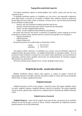 99
Topografia membrului superior
Оn limitele membrului superior se disting șanțuri, fose, orificii, canale, prin care trec vase
sanguine și nervi.
La abducția membrului superior se evidențiazг net fosa axilarг, care reprezintг o adвnciturг
оntre faюa lateralг a toracelui și cea medialг a brațului. Dacг secționгm pielea și оndepгrtгm
țesutul adipos din fosa axilarг, atunci se formeazг cavitatea axilarг, care are forma unei piramide
și este delimitatг de patru pereți:
- anterior, care este constituit de mușchii pectorali mare și mic;
- posterior, format din muşchii mare dorsal, rotund mare și subscapular;
- medial - de către mușchiul dințat anterior;
- lateral - de către mușchiul biceps brahial și coracobrahial;
Оn scopul unei descrieri mai precise a anatomiei și topografiei vaselor sanguine și nervilor
localizați оn cavitatea axilarг, peretele anterior al acesteia este оmpгrțit оn trei triunghiuri:
- trigonul clavipectoral
- trigonul pectoral
- trigonul subpectoral
Оn peretele posterior al cavitгții axilare se disting douг orificii:
- trilater
- patrulater
Оn regiunea cubitalг anterioarг se evidențiazг fosa cubitalг, care este delimitatг superior de
mușchiul brahial, din partea lateralг - de mușchiul brahioradial, iar din partea medialг - de cгtre
pronatorul rotund. Sub piele, оn aceastг fosг sunt situate venele superficiale, care sunt folosite оn
majoritatea cazurilor pentru injecțiile intravenoase ale medicamentelor și transfuzia sвngelui.
Mai profund, trec artere și nervi.
De la fosa cubitalг pornesc șanțul lateral (radial) și șanțul medial (ulnar).
Mușchii și fasciile membrului inferior
Mușchii membrului inferior, identic celui superior, se оmpart оn grupuri, reieєind din
apartenența regionalг și funcțiile efectuate. Deosebim mușchi ai centurii pelviene și membrului
inferior liber: ai coapsei, gambei și piciorului.
Mușchii bazinului
Mușchii bazinului se divid оn douг grupuri - interni și externi. Din grupul mușchilor interni
fac parte: mușchiul iliopsoas, mușchiul obturator intern și cel piriform. Din grupul mușchilor
externi fac parte: gluteul mare, mediu și mic, mușchiul pгtrat al femurului și mușchiul obturator
extern.
Mușchii interni ai bazinului
Mușchiul iliopsoas - constг din doi mușchi: psoas mare și iliac, care pornesc de la vertebrele
lombare și osul iliac și apoi se inserг pe femur. Ambele componente ale mușchiului formeazг
peretele posterior al cavitгții abdominale.
prin care trec
vase şi nervi
 