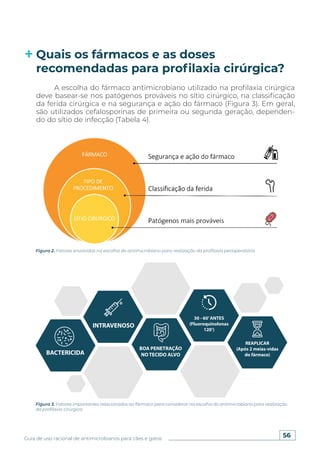 56
Guia de uso racional de antimicrobianos para cães e gatos
Quais os fármacos e as doses
recomendadas para profilaxia cirúrgica?
A escolha do fármaco antimicrobiano utilizado na profilaxia cirúrgica
deve basear-se nos patógenos prováveis no sítio cirúrgico, na classificação
da ferida cirúrgica e na segurança e ação do fármaco (Figura 3). Em geral,
são utilizados cefalosporinas de primeira ou segunda geração, dependen-
do do sítio de infecção (Tabela 4).
Figura 2. Fatores envolvidos na escolha do antimicrobiano para realização da profilaxia perioperatória.
Figura 3. Fatores importantes relacionados ao fármaco para considerar na escolha do antimicrobiano para realização
da profilaxia cirúrgica.
 