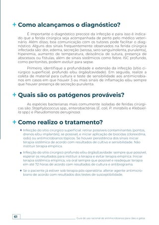 61 Guia de uso racional de antimicrobianos para cães e gatos
Como alcançamos o diagnóstico?
Quais são os patógenos prováveis?
Como realizo o tratamento?
É importante o diagnóstico precoce da infecção e para isso é indica-
do que a ferida cirúrgica seja acompanhada de perto pelo médico veteri-
nário. Além disso, boa comunicação com os tutores pode facilitar o diag-
nóstico. Alguns dos sinais frequentemente observados na ferida cirúrgica
infectada são: dor, edema, secreção (serosa, sero sanguinolenta, purulenta),
hiperemia, aumento de temperatura, deiscência de sutura, presença de
abscessos ou fístulas, além de sinais sistêmicos como febre. ISC profundo,
como peritonites, podem evoluir para sepse.
Primeiro, identifique a profundidade e extensão da infecção (sítio ci-
rúrgico superficial, profundo e/ou órgão/cavidade). Em seguida, realize a
coleta de material para cultura e teste de sensibilidade aos antimicrobia-
nos em casos em que houver 3 ou mais sinais de inflamação e/ou sempre
que houver presença de secreção purulenta.
As espécies bacterianas mais comumente isoladas de feridas cirúrgi-
cas são: Staphylococcus spp., enterobactérias (E. coli, P. mirabilis e Klebsiel-
la spp.) e Pseudomonas aeruginosa.
Infecção do sítio cirúrgico superficial: retirar possíveis contaminantes (pontos,
drenos e/ou implantes), se possível, e iniciar aplicação de biocidas (clorexidina,
iodo) ou antimicrobianos tópicos. Se houver persistência dos sinais iniciar
terapia sistêmica de acordo com resultados de cultivo e sensibilidade. Não
instituir terapia empírica.
Infecção do sítio cirúrgico profundo e/ou órgão/cavidade: sempre que possível,
esperar os resultados para instituir a terapia e evitar terapia empírica. Iniciar
terapia sistêmica empírica, via oral sempre que possível e readequar terapia
em até 72 horas de acordo com resultados de cultura e antibiograma.
Se o paciente já estiver sob terapia pós-operatória: alterar agente antimicro-
biano de acordo com resultados dos testes de susceptibilidade.
 