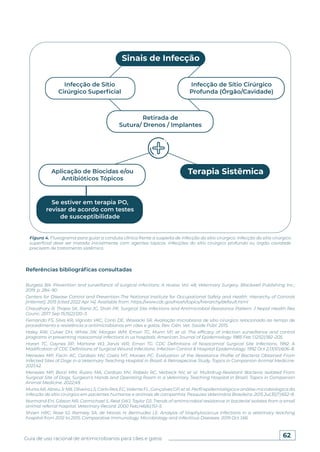 62
Guia de uso racional de antimicrobianos para cães e gatos
Figura 4. Fluxograma para guiar a conduta clínica frente a suspeita de infecção do sítio cirúrgico. Infecção do sítio cirúrgico
superficial deve ser tratada inicialmente com agentes tópicos. Infecções do sítio cirúrgico profundo ou órgão cavidade
precisam de tratamento sistêmico.
Referências bibliográficas consultadas
Burgess BA. Prevention and surveillance of surgical infections: A review. Vol. 48, Veterinary Surgery. Blackwell Publishing Inc.;
2019. p. 284–90.
Centers for Disease Control and Prevention-The National Institute for Occupational Safety and Health. Hierarchy of Controls
[Internet]. 2015 [cited 2022 Apr 14]. Available from: https://www.cdc.gov/niosh/topics/hierarchy/default.html
Chaudhary R, Thapa SK, Rana JC, Shah PK. Surgical Site Infections and Antimicrobial Resistance Pattern. J Nepal Health Res
Counc. 2017 Sep 15;15(2):120–3.
Fernando FS, Silva KR, Vignoto VKC, Conti DE, Wosiacki SR. Avaliação microbiana de sítio cirúrgico relacionado ao tempo de
procedimento e resistência a antimicrobianos em cães e gatos. Rev. Ciên. Vet. Saúde Públ. 2015.
Haley RW, Culver DH, White JW, Morgan WM, Emori TG, Munn VP, et al. The efficacy of infection surveillance and control
programs in preventing nosocomial infections in us hospitals. American Journal of Epidemiology. 1985 Feb 1;121(2):182–205.
Horan TC, Gaynes RP, Martone WJ, Jarvis WR, Emori TG. CDC Definitions of Nosocomial Surgical Site Infections, 1992: A
Modification of CDC Definitions of Surgical Wound Infections. Infection Control & Hospital Epidemiology. 1992 Oct 2;13(10):606–8.
Menezes MP, Facin AC, Cardozo MV, Costa MT, Moraes PC. Evaluation of the Resistance Profile of Bacteria Obtained From
Infected Sites of Dogs in a Veterinary Teaching Hospital in Brazil: A Retrospective Study. Topics in Companion Animal Medicine.
2021;42.
Menezes MP, Borzi MM, Ruaro MA, Cardozo MV, Rabelo RC, Verbisck NV, et al. Multidrug-Resistant Bacteria Isolated From
Surgical Site of Dogs, Surgeon’s Hands and Operating Room in a Veterinary Teaching Hospital in Brazil. Topics in Companion
Animal Medicine. 2022;49.
Murta AR, Abreu Jr NB, Oliveira LS, Carlo Reis EC, Valente FL, Gonçalves GP, et al. Perfil epidemiológico e análise microbiológica da
infecção de sítio cirúrgico em pacientes humanos e animais de companhia. Pesquisa Veterinária Brasileira. 2015 Jul;35(7):652–8.
Normand EH, Gibson NR, Carmichael S, Reid SWJ, Taylor DJ. Trends of antimicrobial resistance in bacterial isolates from a small
animal referral hospital. Veterinary Record. 2000 Feb;146(6):151–5.
Shoen HRC, Rose SJ, Ramsey SA, de Morais H, Bermudez LE. Analysis of Staphylococcus infections in a veterinary teaching
hospital from 2012 to 2015. Comparative Immunology, Microbiology and Infectious Diseases. 2019 Oct 1;66.
 